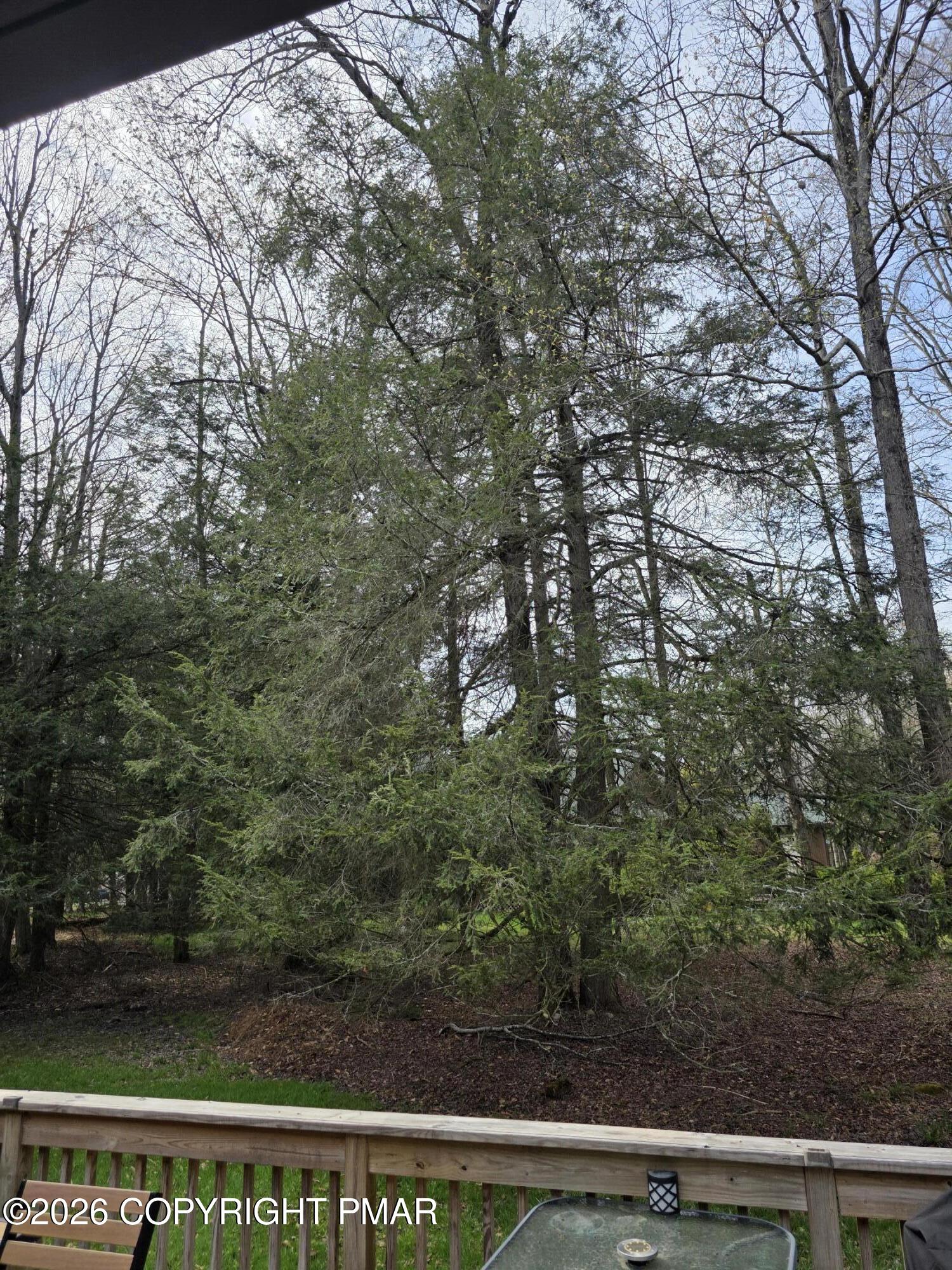 290 King Arthur Road Property Photo 36