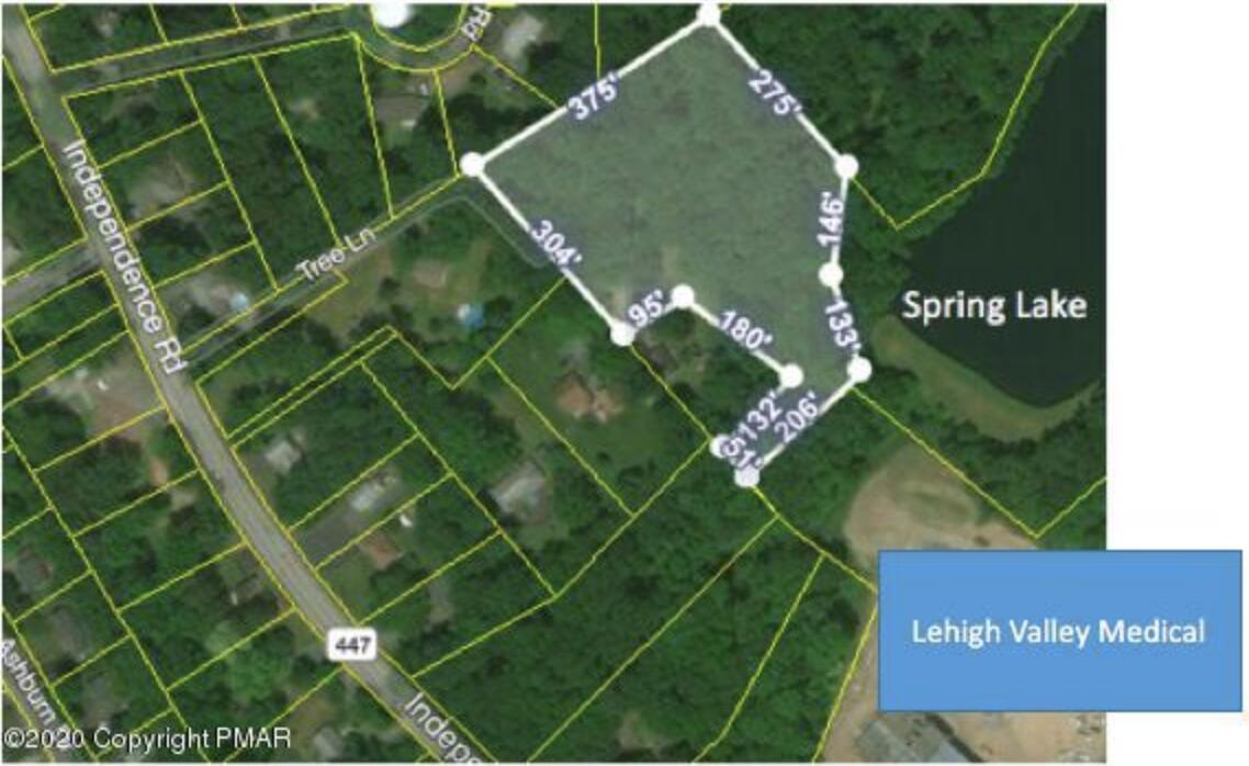 121 Tree Lane Property Photo 1