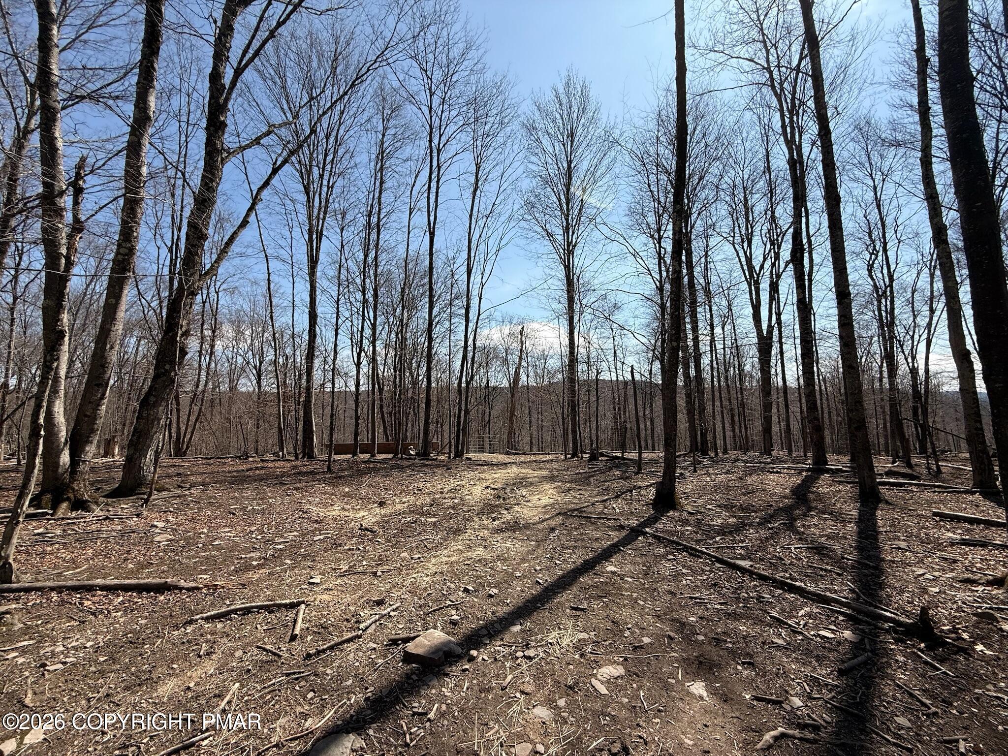 PM-140375 Property Photo 48