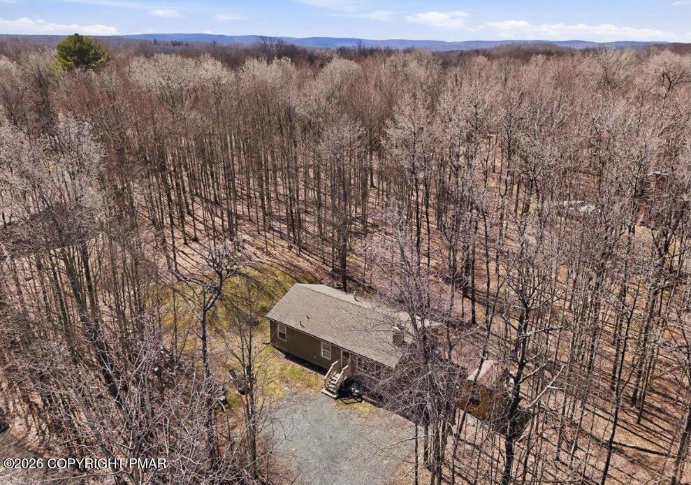 79 Wild Turkey Circle Property Photo 37