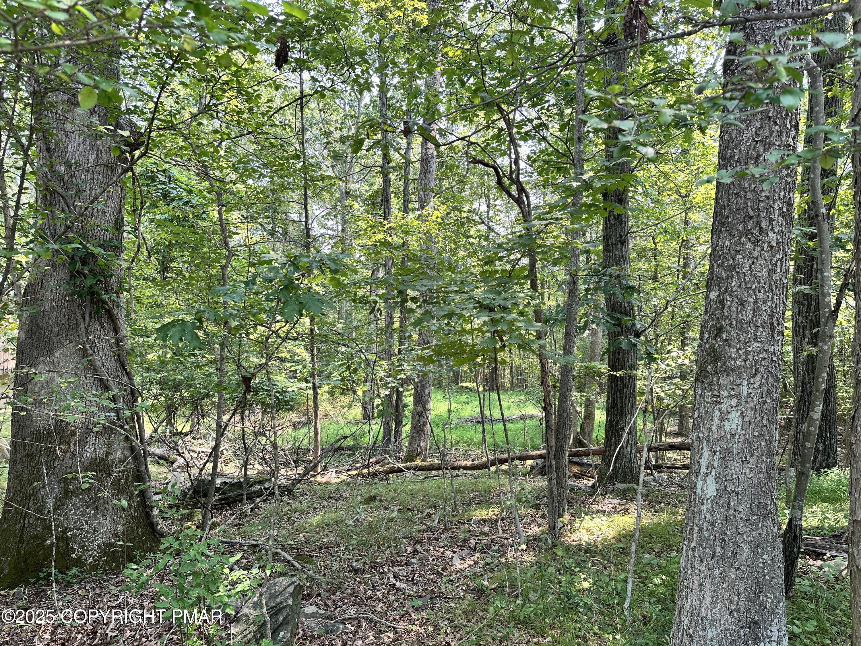 Timber Hill Rd 2b Property Photo 1