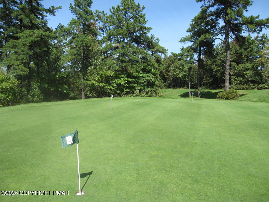 151 Skytop Road Property Photo 39