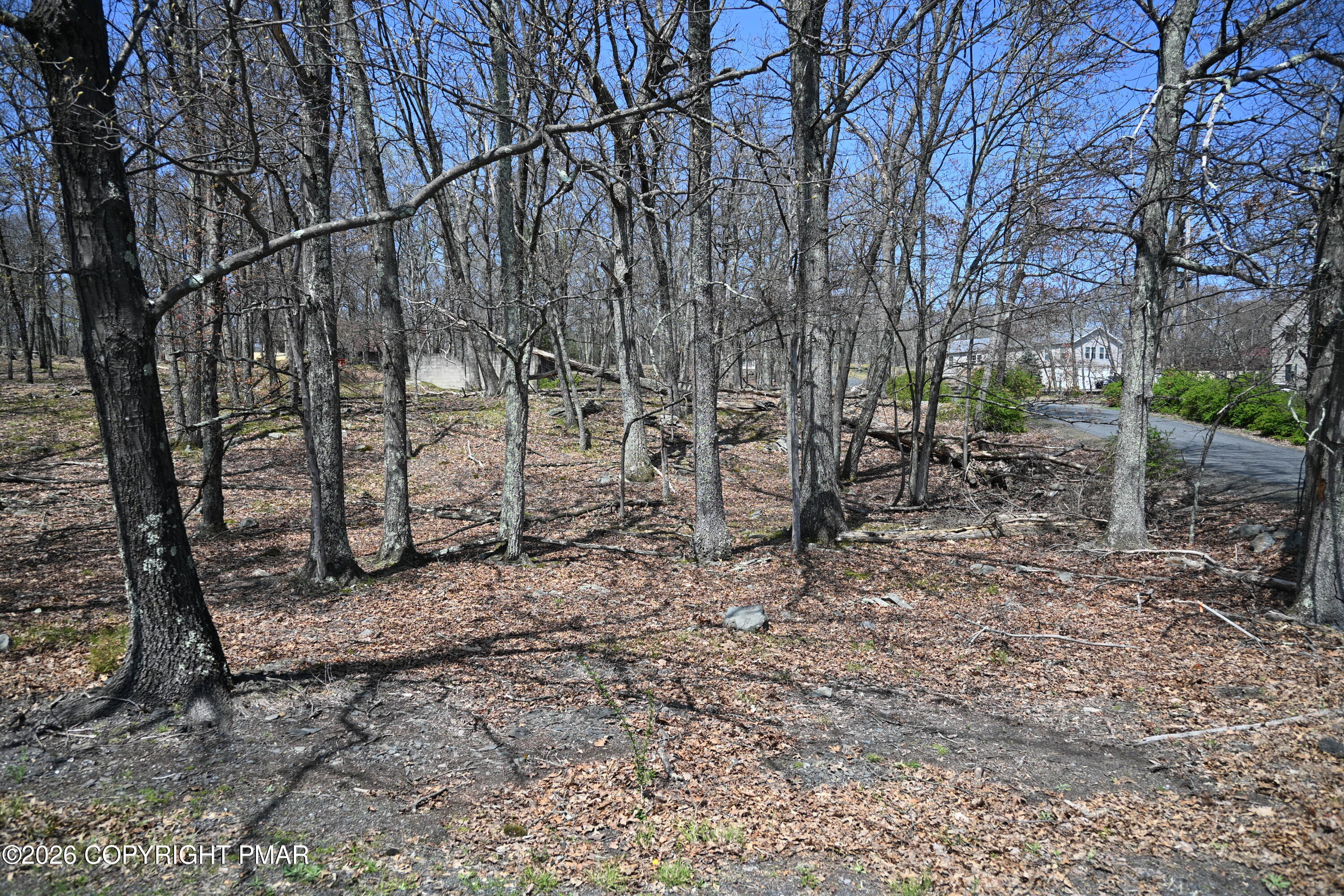 230 Hummingbird Court Property Photo 3