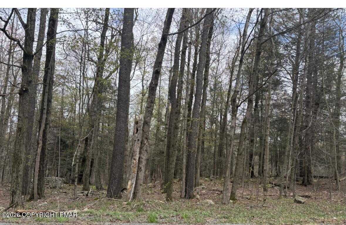 Chipmunk Trail Property Photo 1
