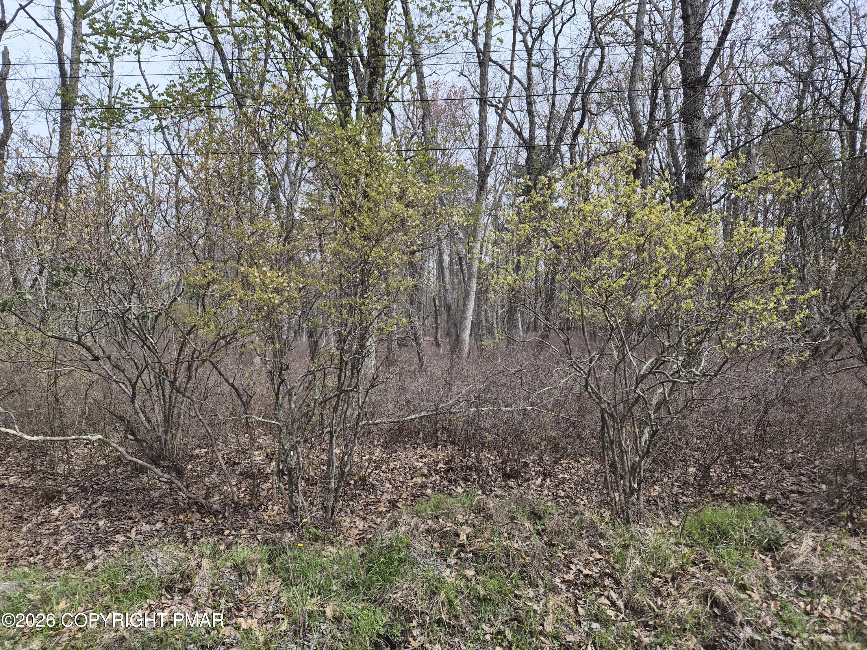 Lot 20 Big Oak Road