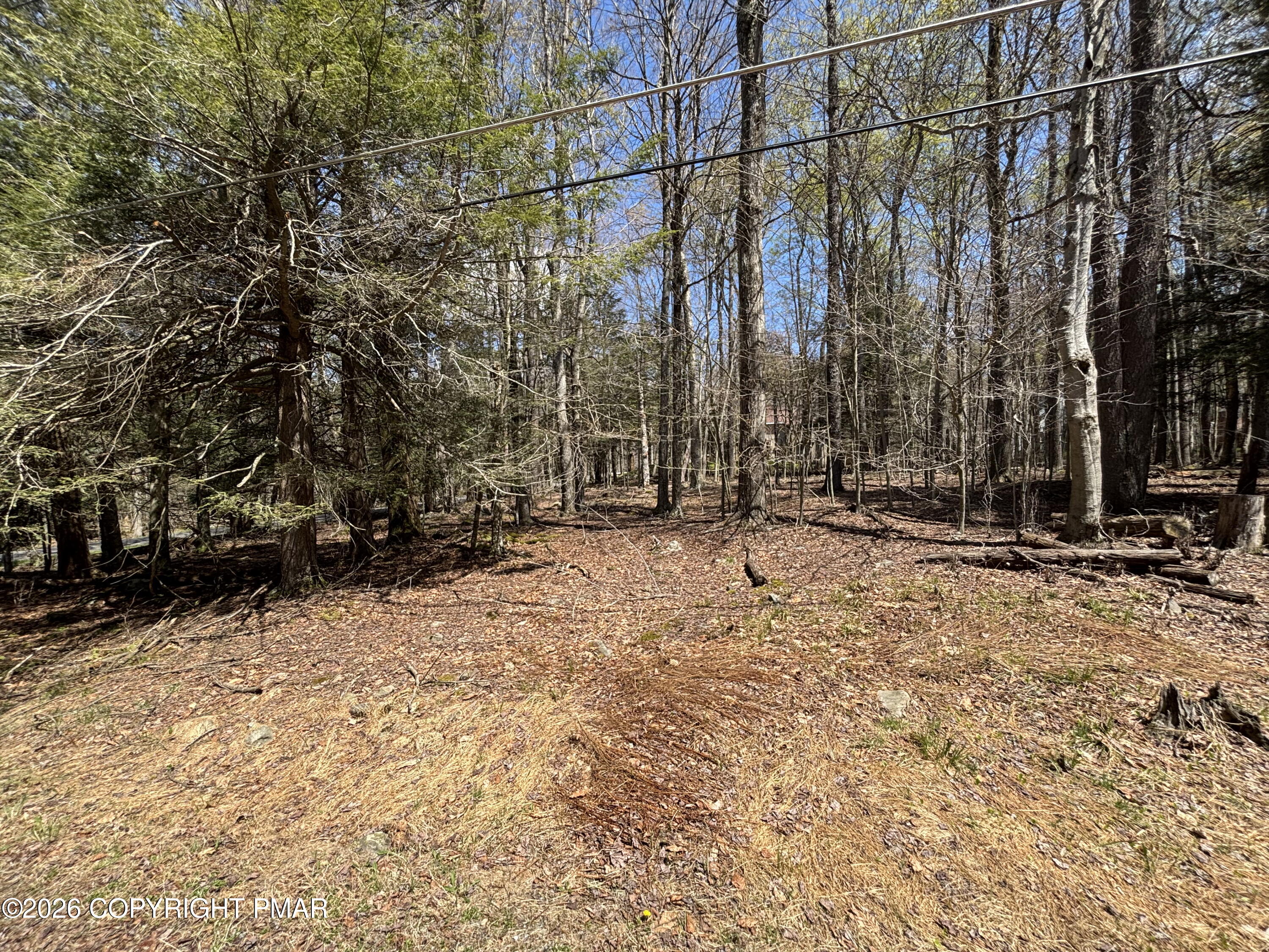 76 Shoshoni Trail Property Photo 4