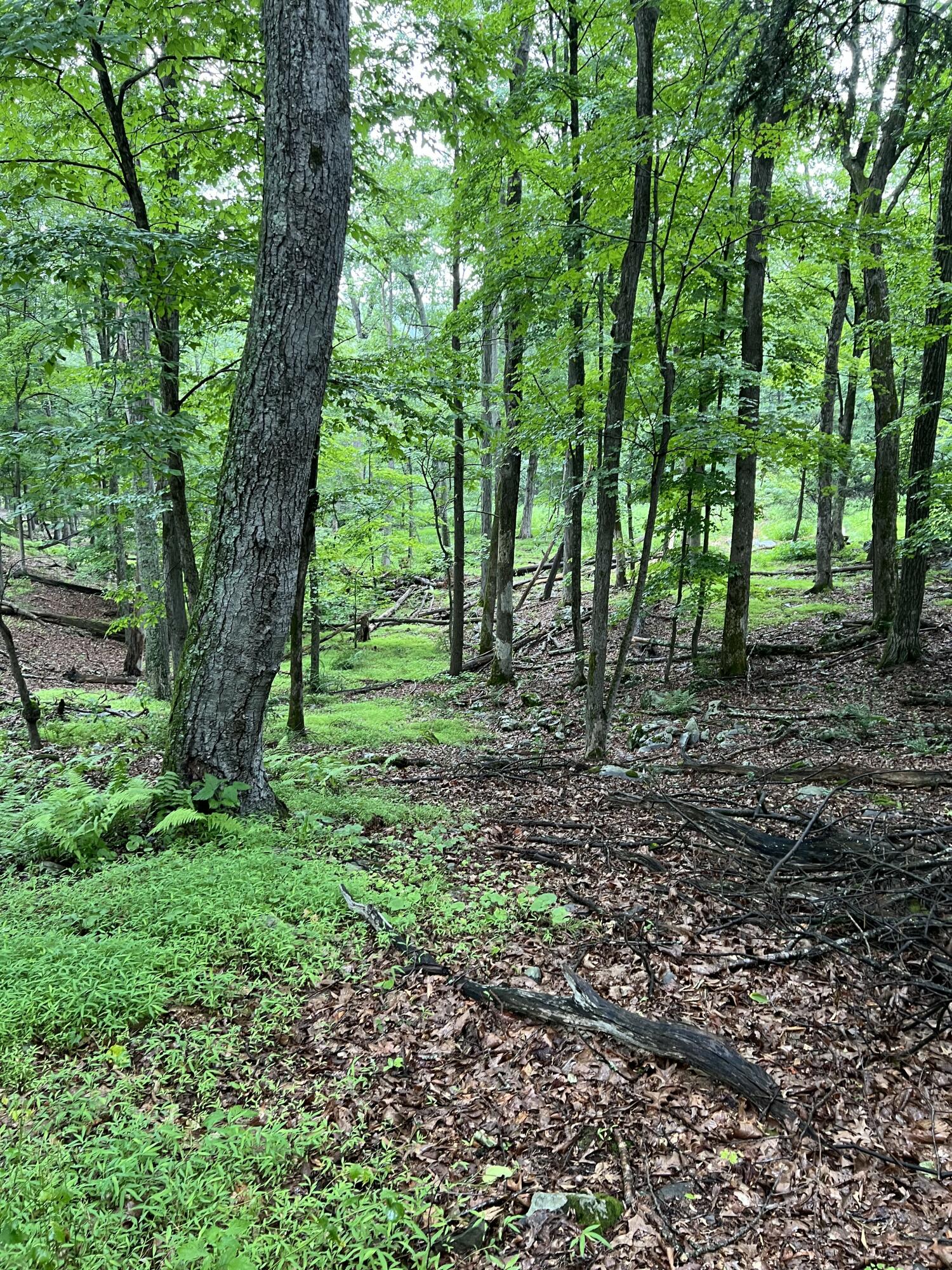 Clubhouse Drive, Lot 62 Property Photo 17