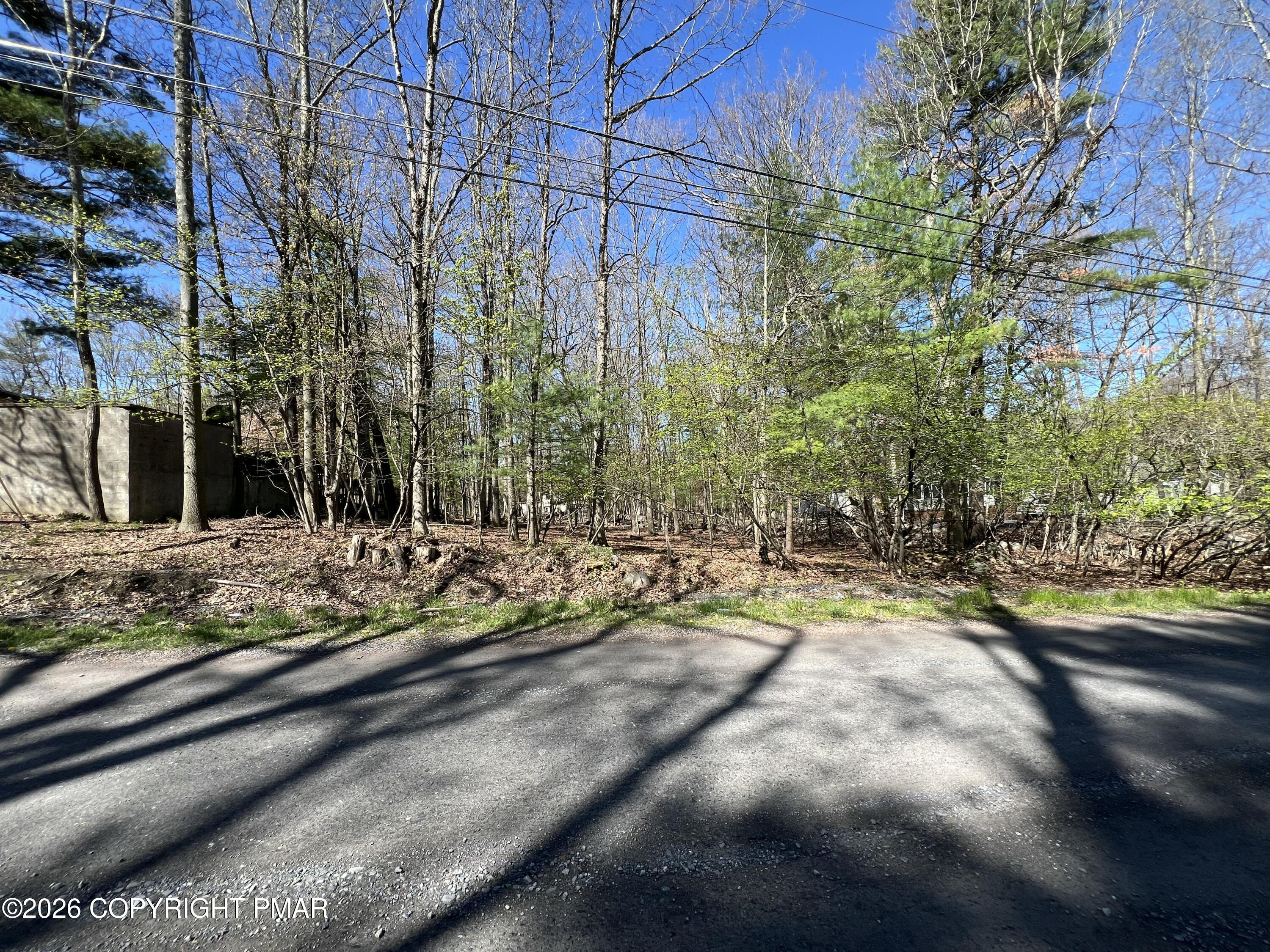 Forest Lake Dr 46 Drive Property Photo 2