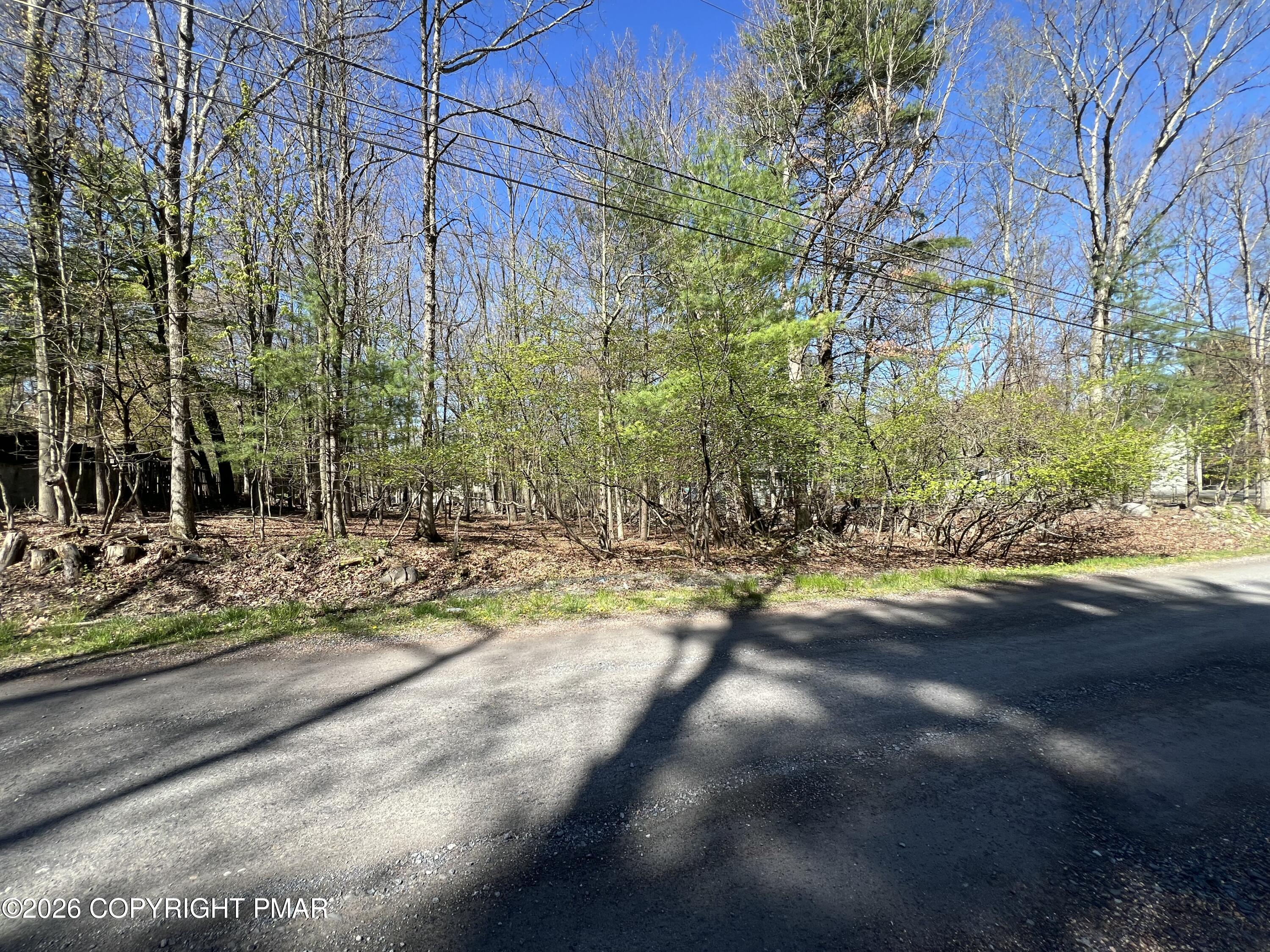 Forest Lake Dr 46 Drive Property Photo 3