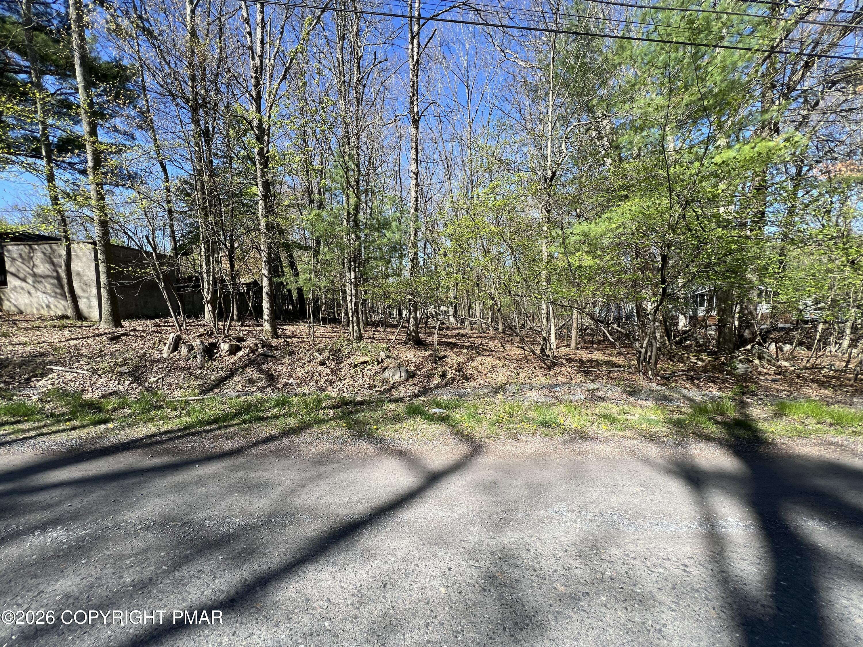 Forest Lake Dr 46 Drive Property Photo 4