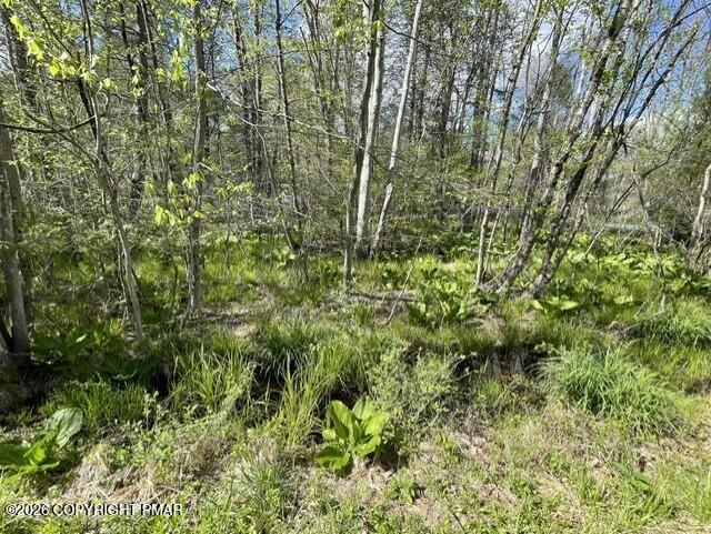 17 Pleasant View Dr 17E Drive Property Photo 1