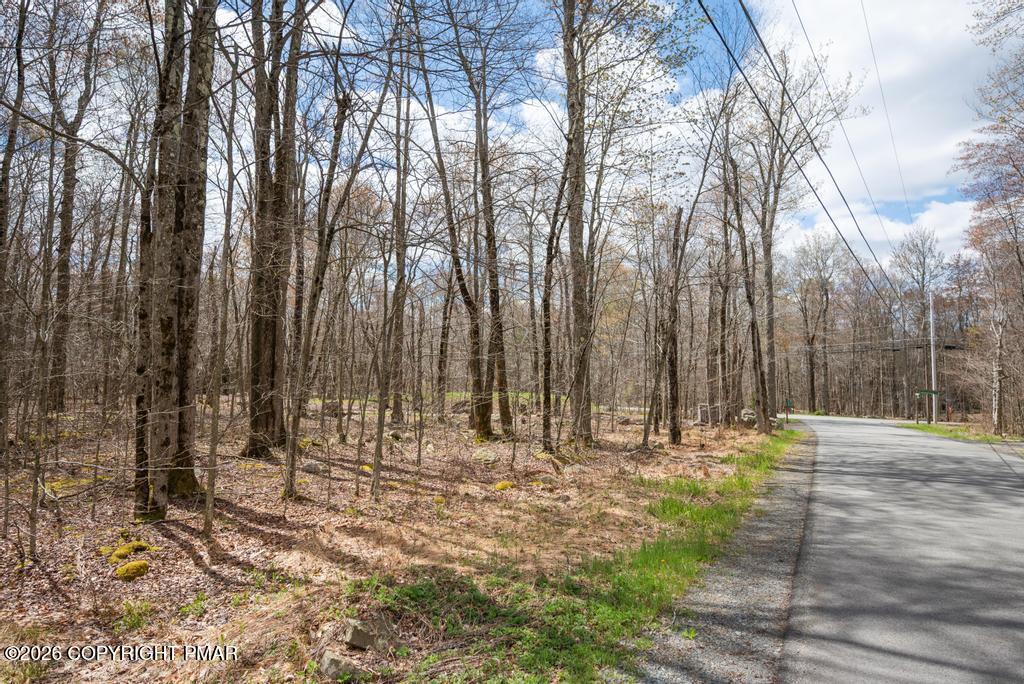 Lot 87 Pioneer Trail Property Photo 1