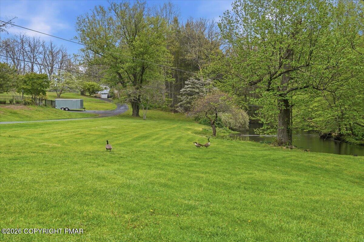 113 Joseph Lane Property Photo 13