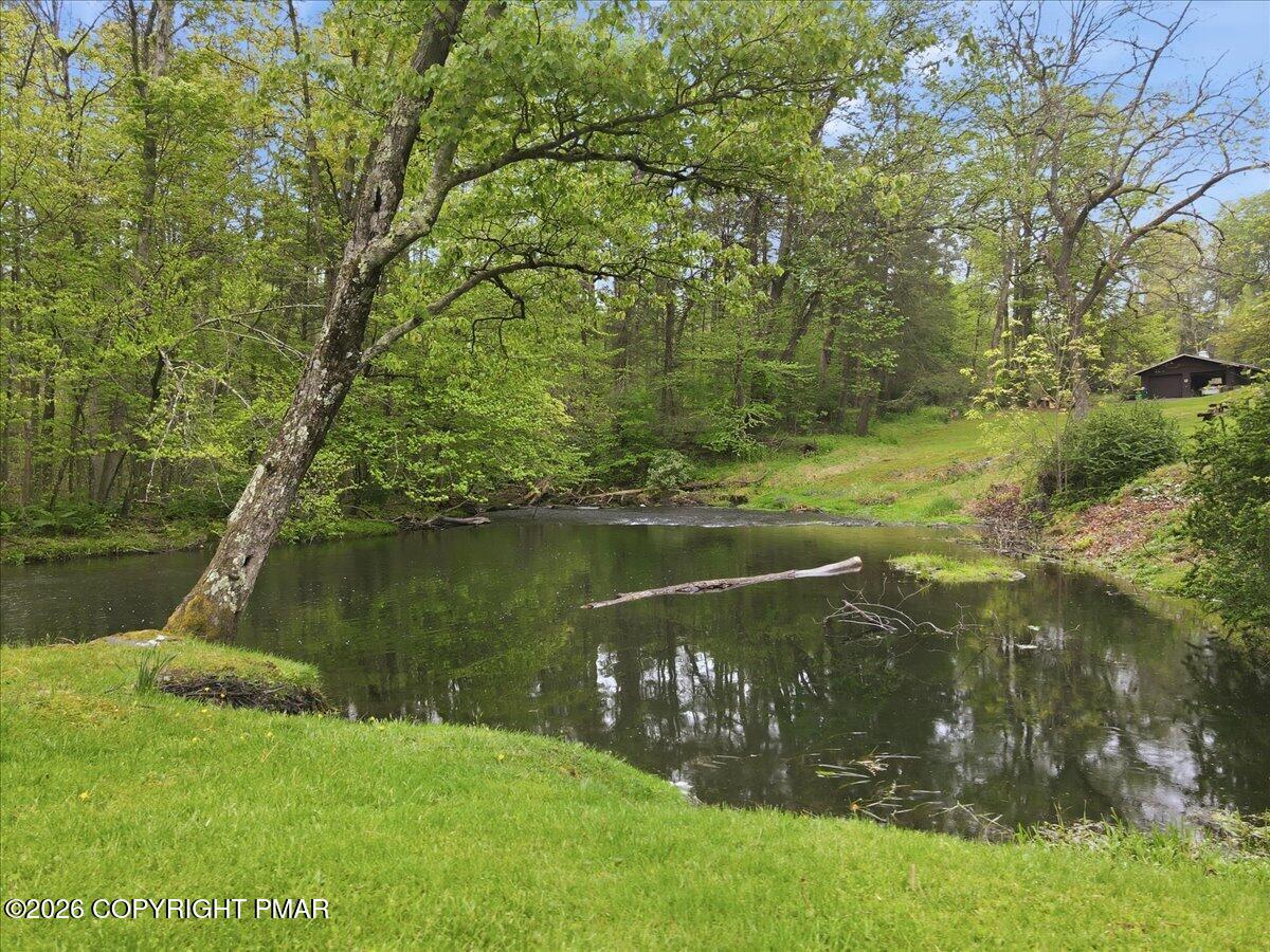 113 Joseph Lane Property Photo 15