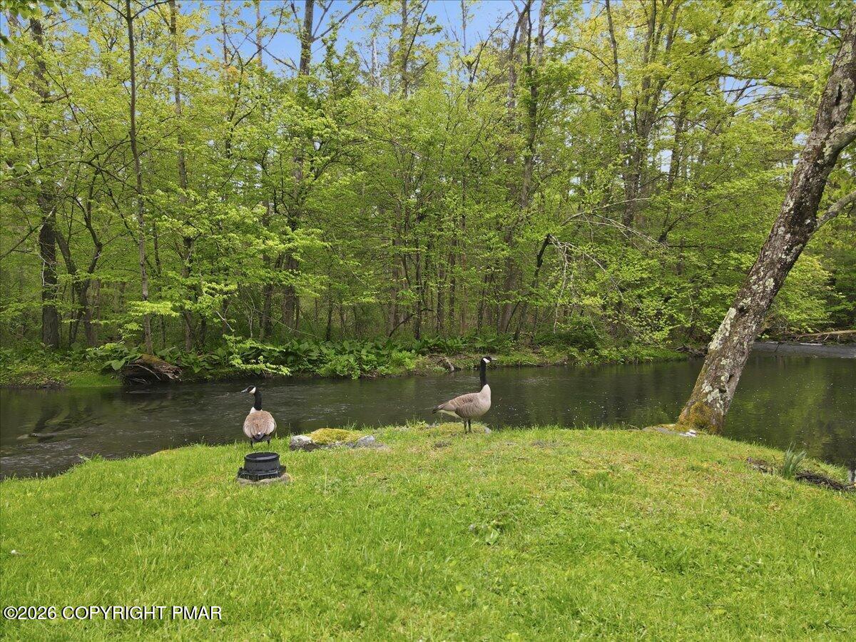 113 Joseph Lane Property Photo 87