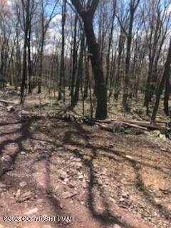 Cree Trail Property Photo 1