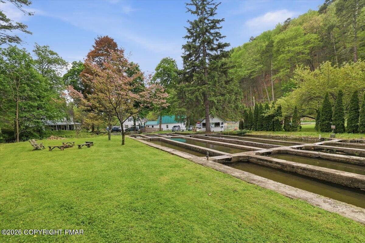 3585 Fairyland Road Property Photo 44