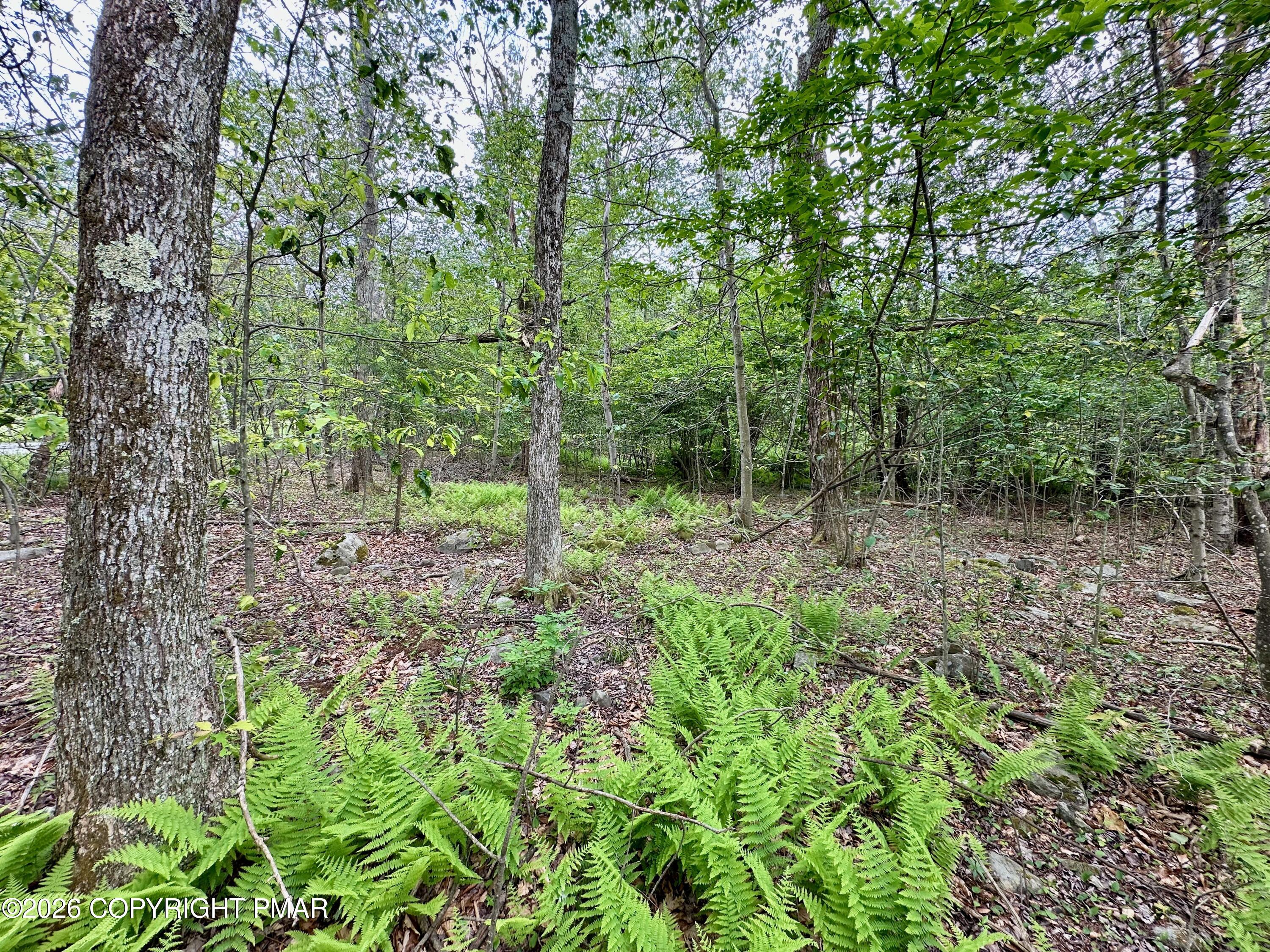 Lot 56b June Dr 56b Property Photo 5