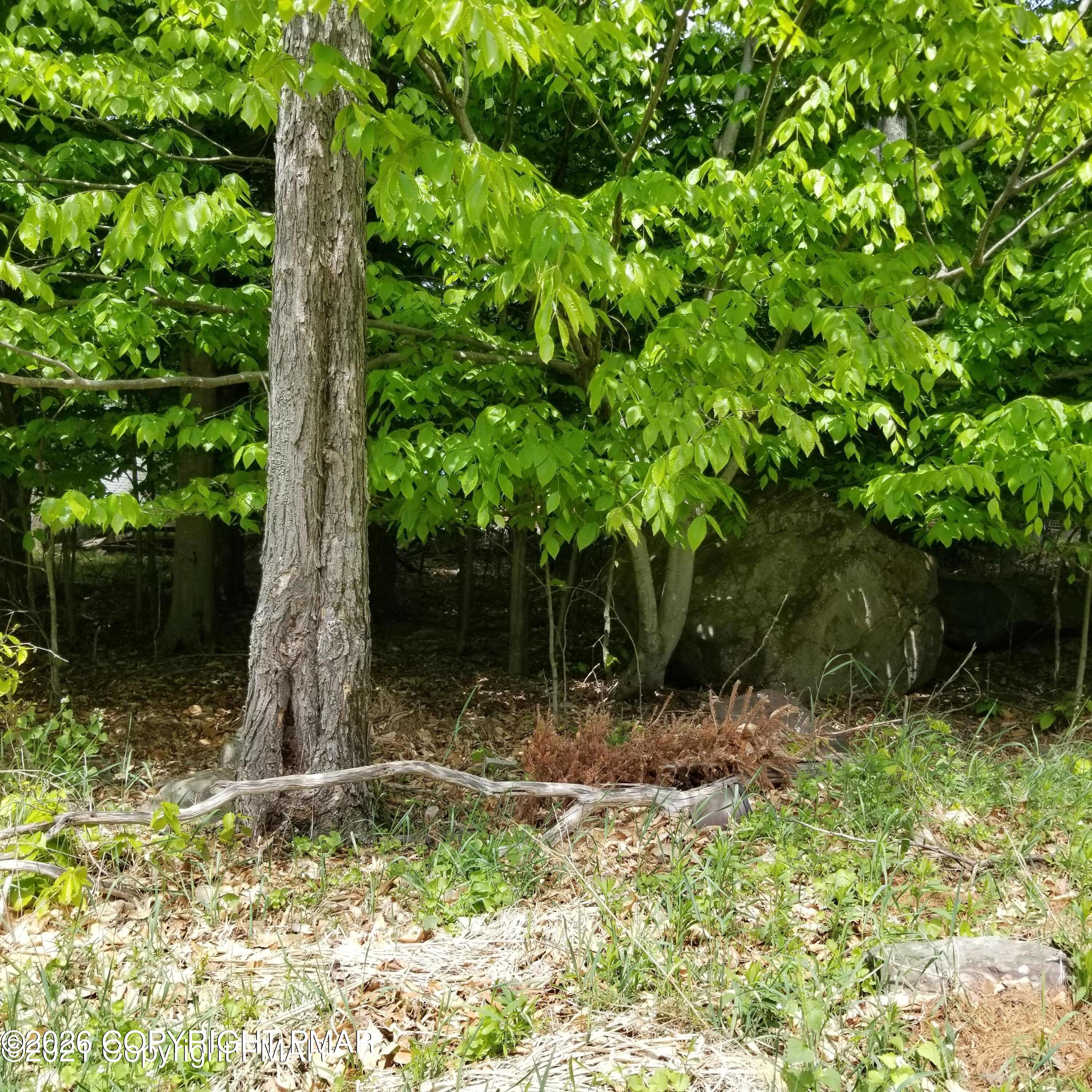 409 Bumble Bee Way 409 Way Property Photo 1