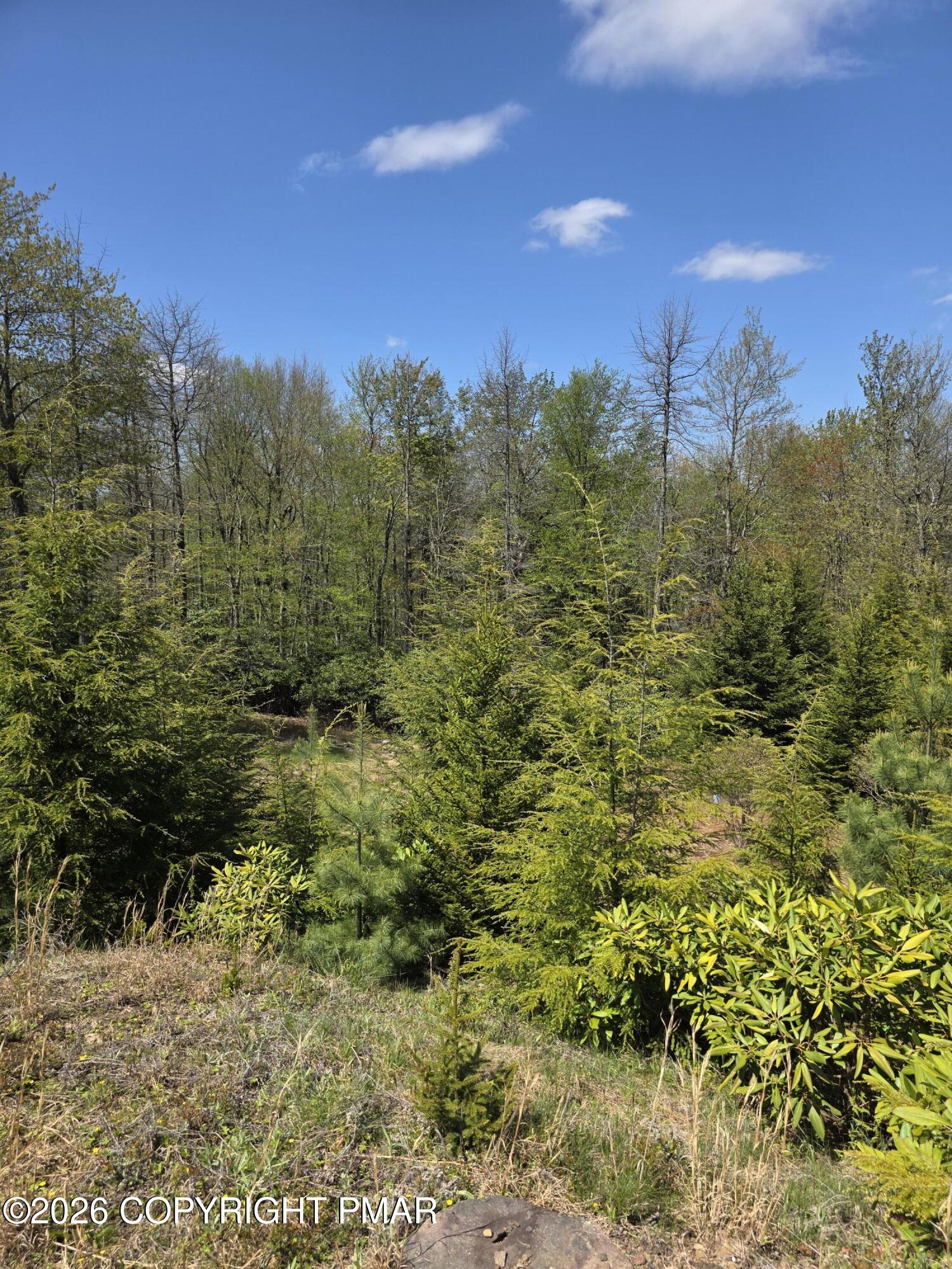 Hermit Thrush Road Property Photo 1