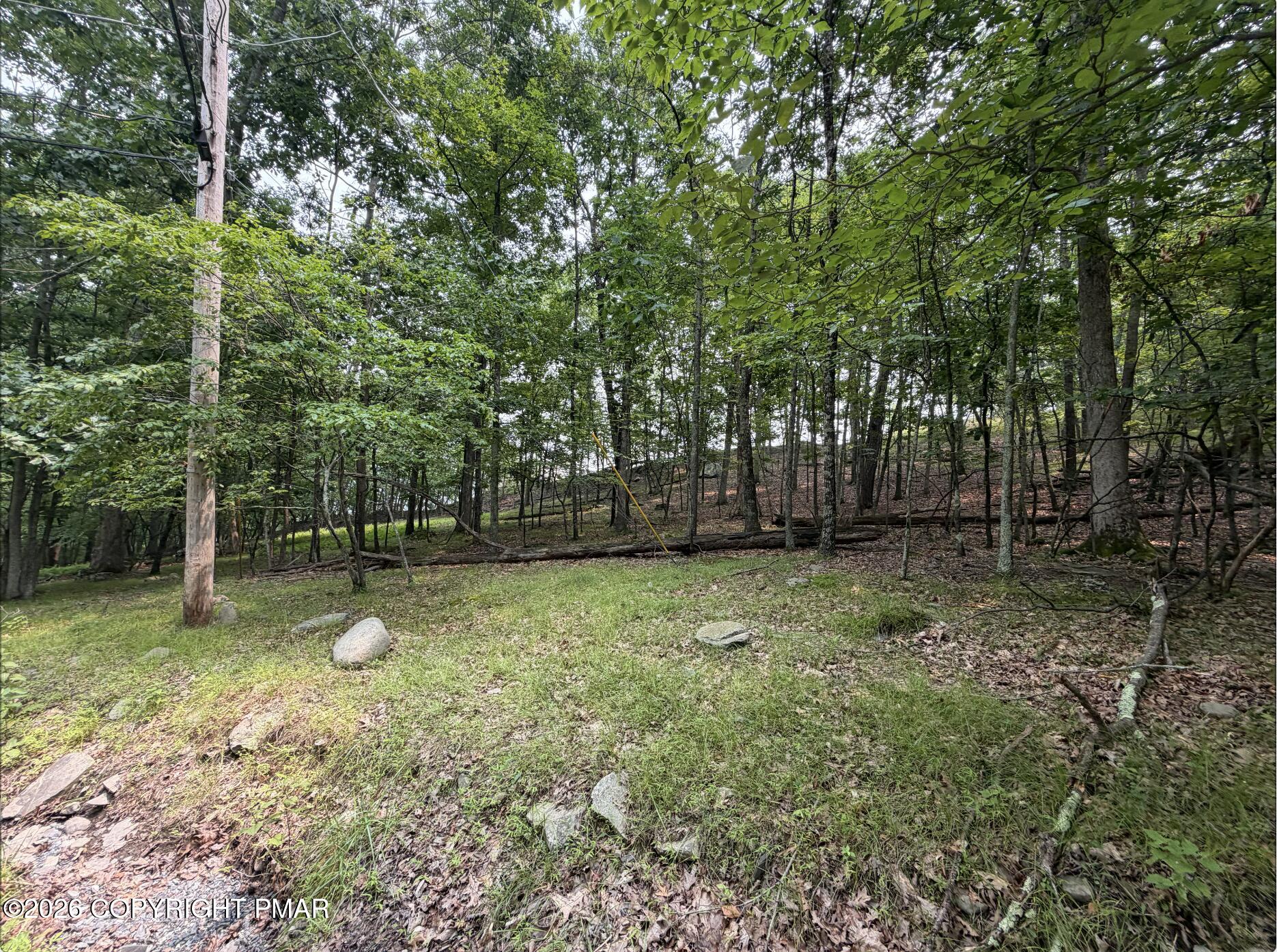 286 Hillock Court Property Photo 2