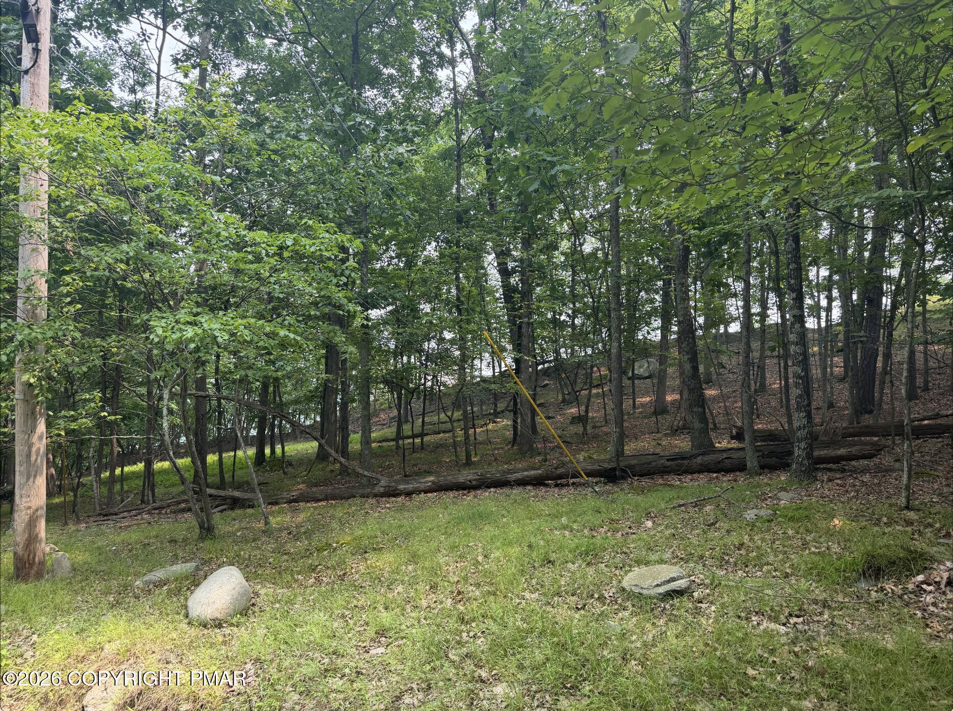 286 Hillock Court Property Photo 3