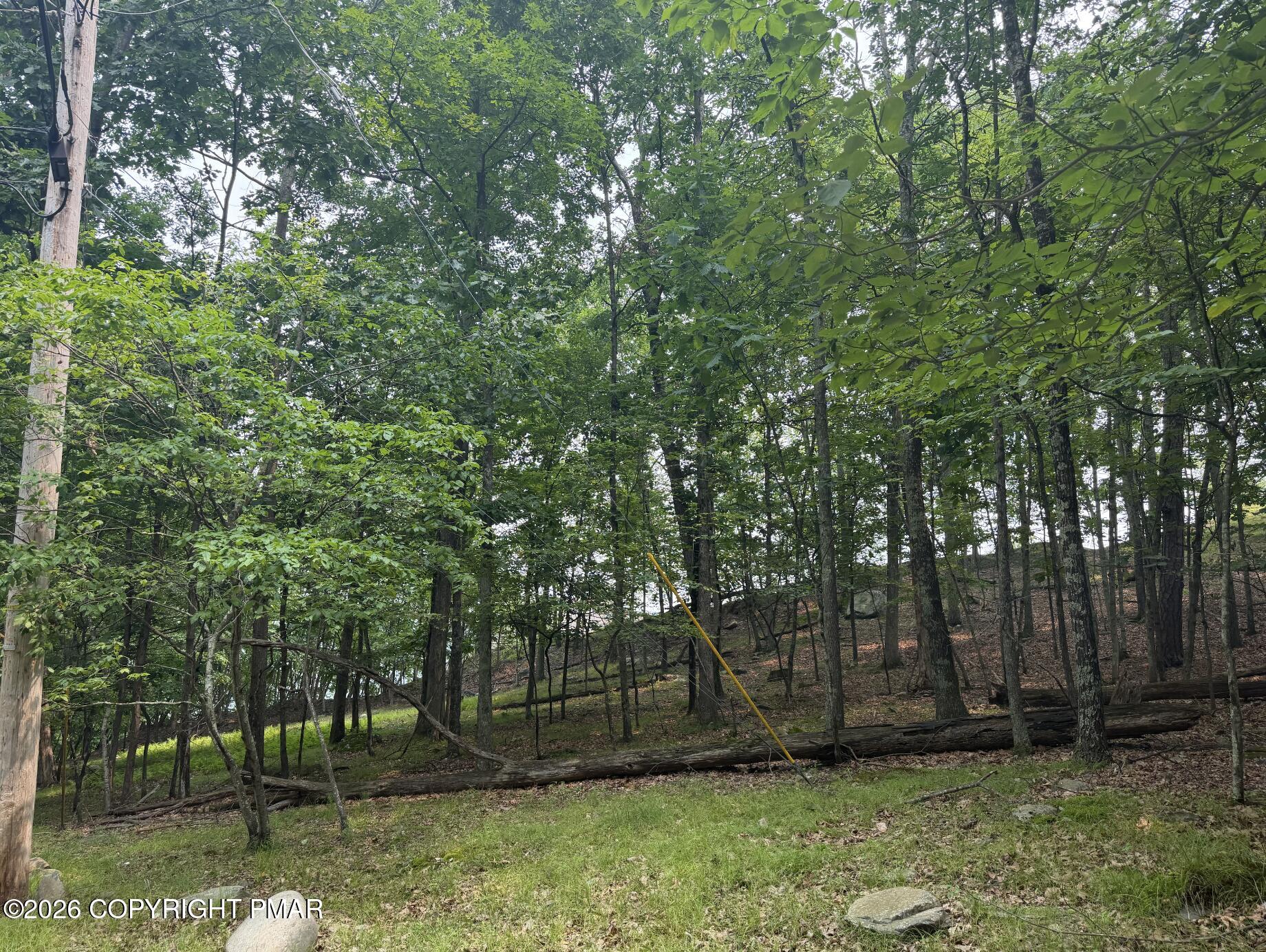 286 Hillock Court Property Photo 4