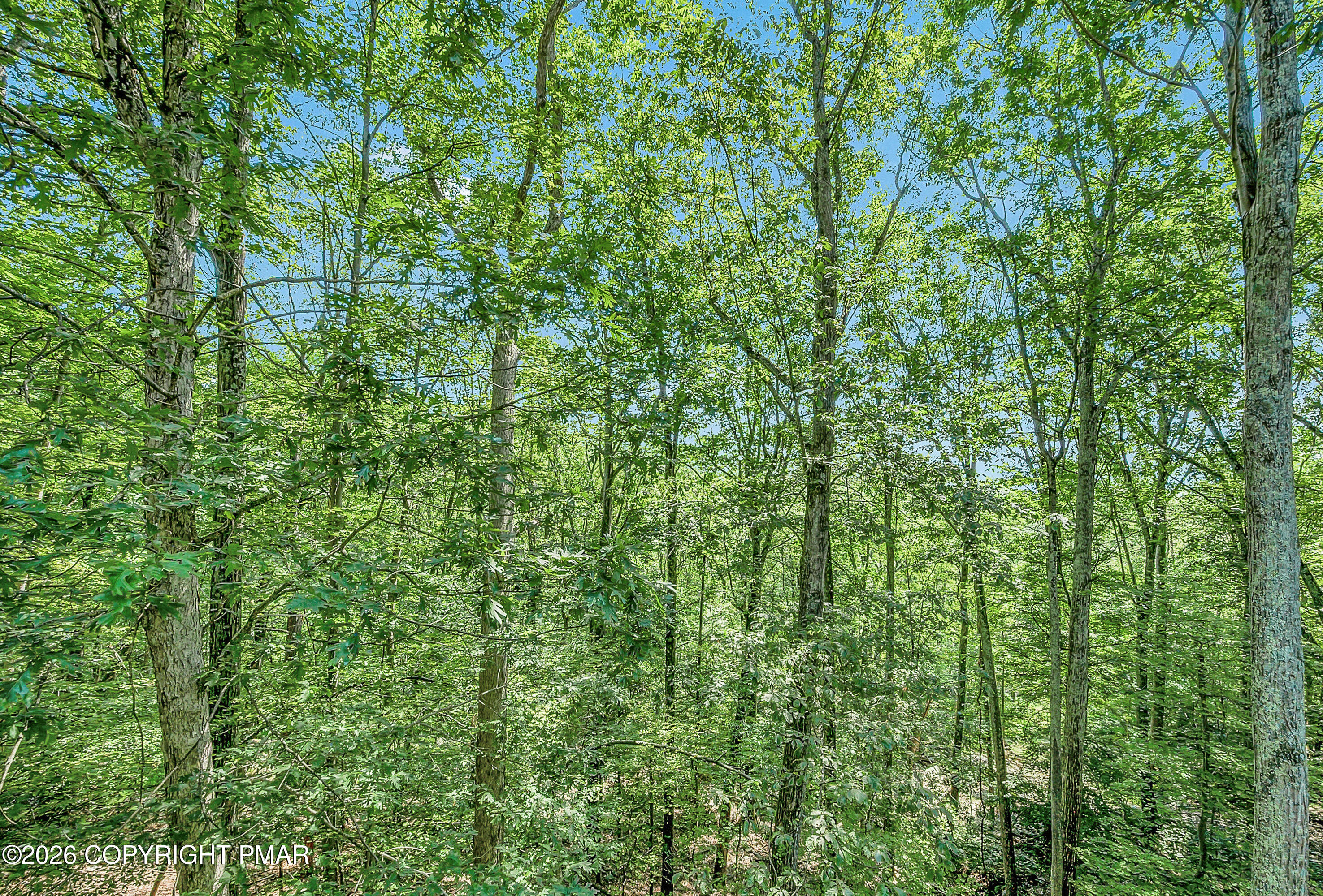 164 Bellingham Drive Property Photo 40