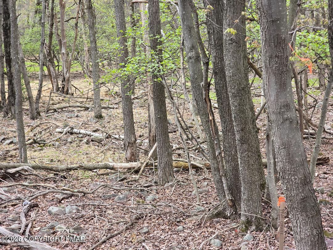 107 Clearbrook Dr 107 Drive Property Photo 2