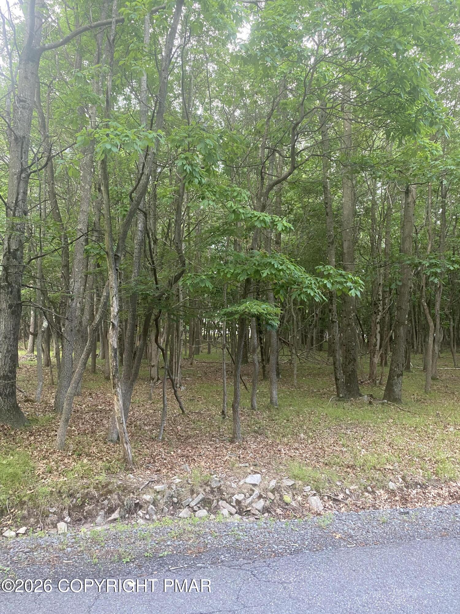 00 Stony Hollow Circle Property Photo 3