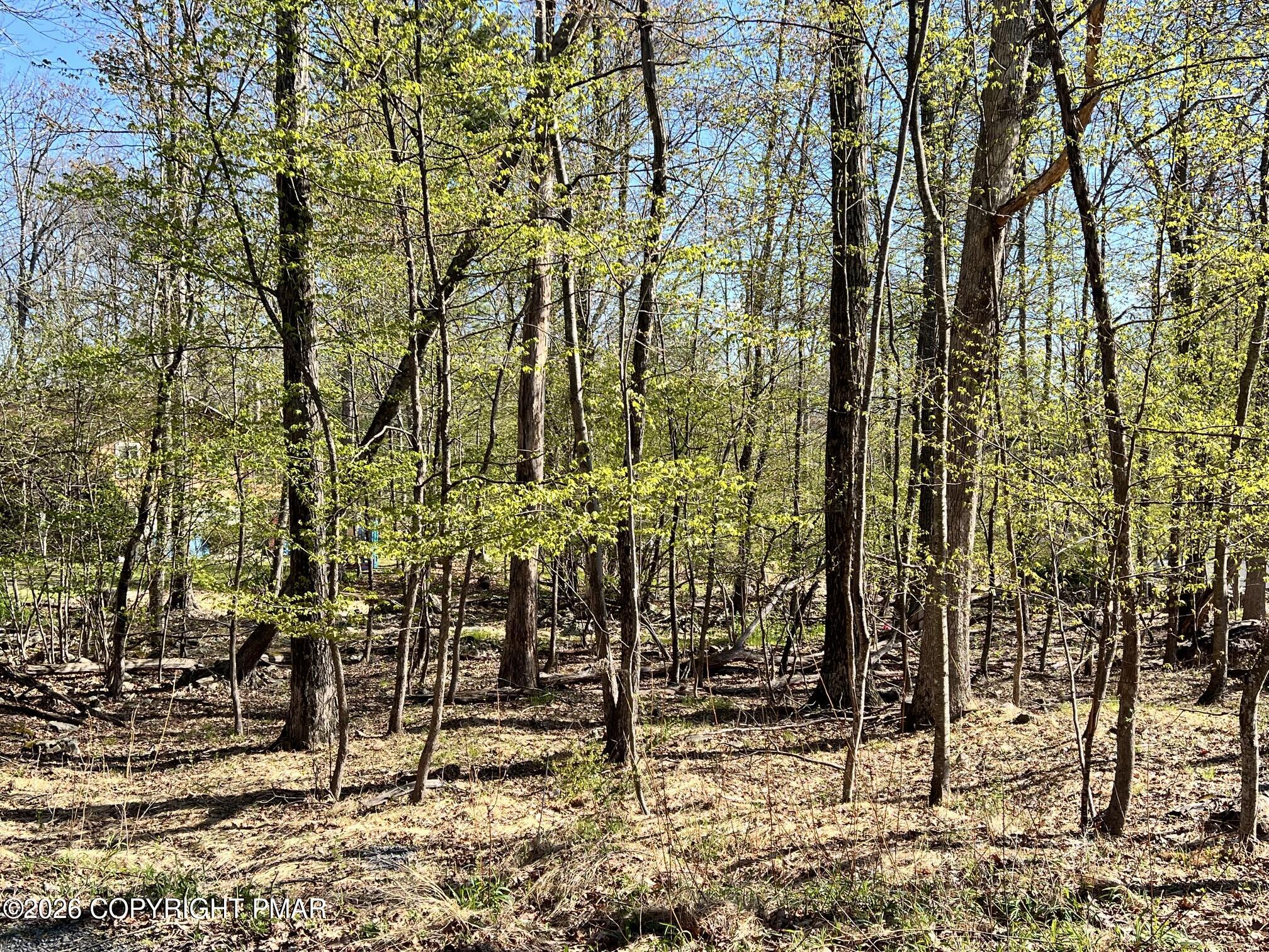Chickadee Way 6 Way Property Photo 1