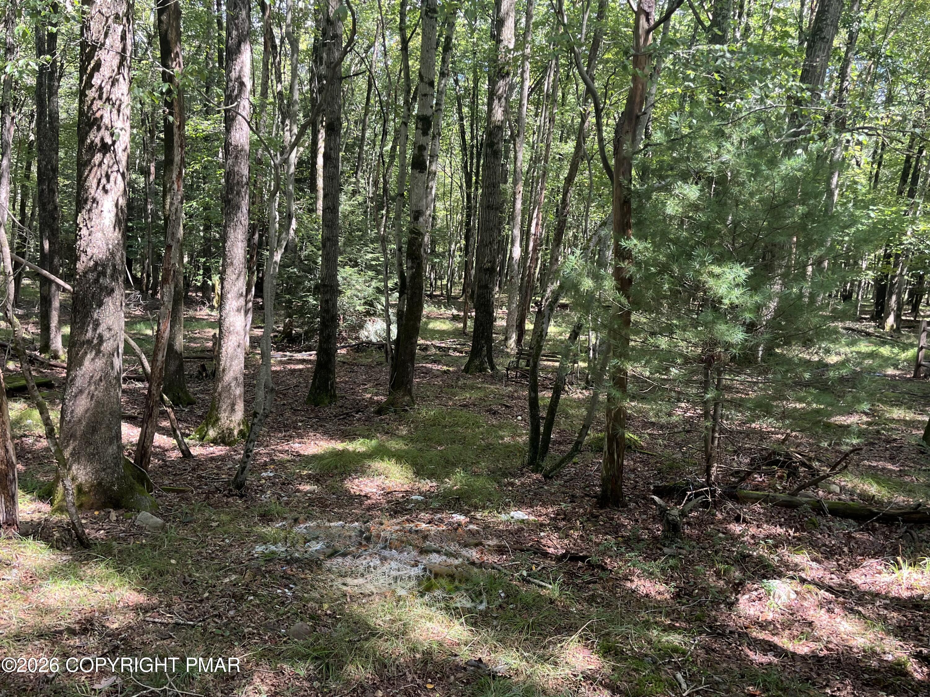 603 Sycamore Circle Property Photo 1