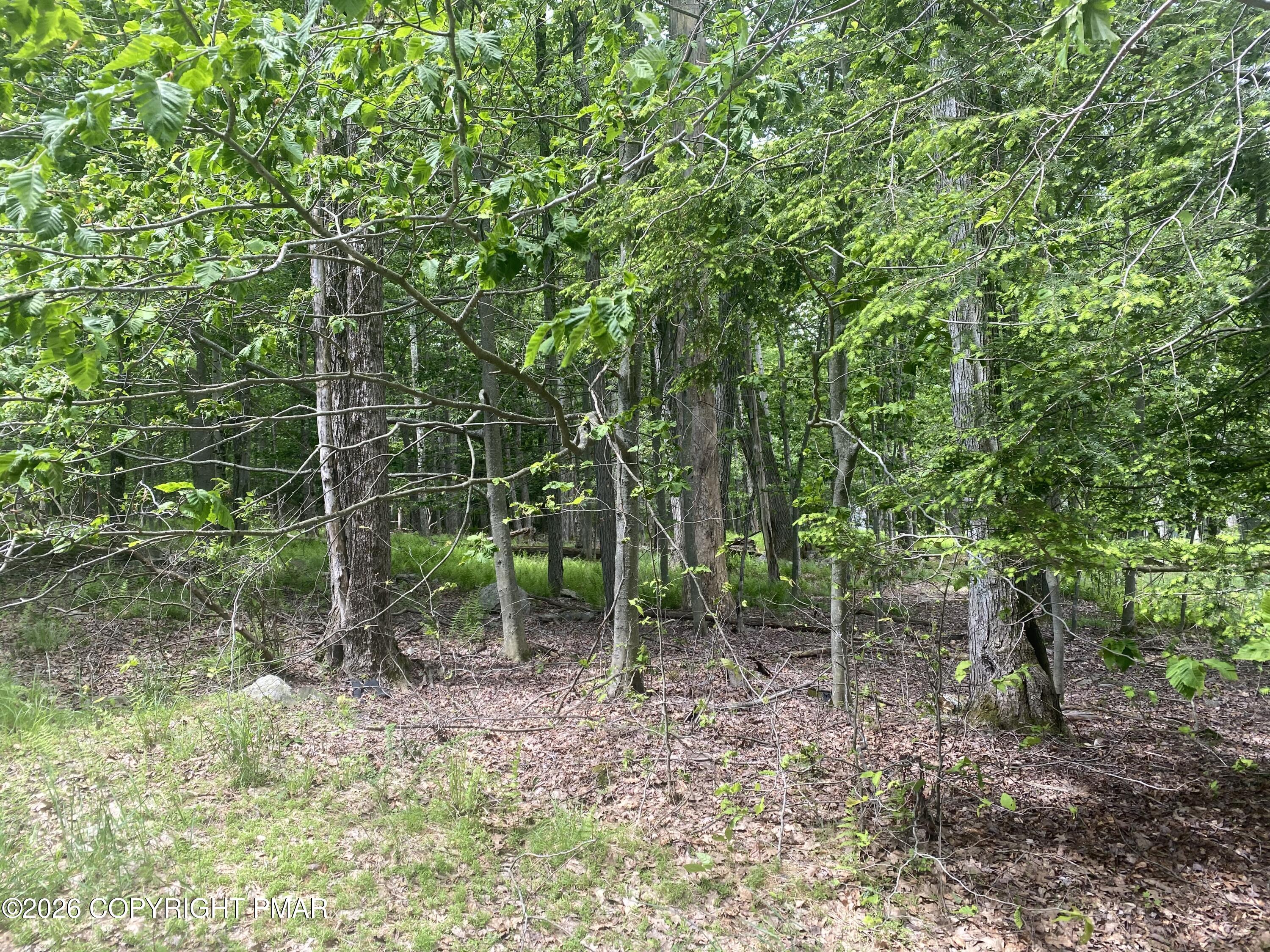 86 Lookout Point Road Property Photo 1