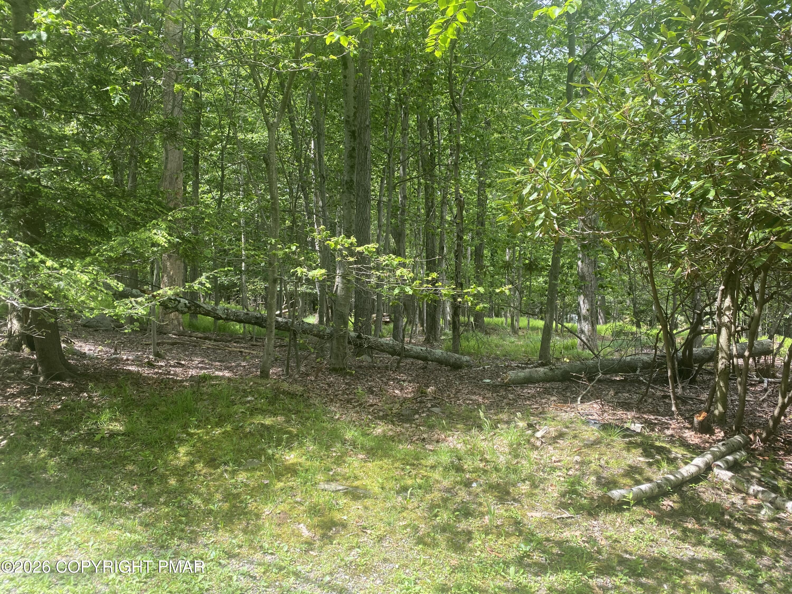 86 Lookout Point Road Property Photo 2