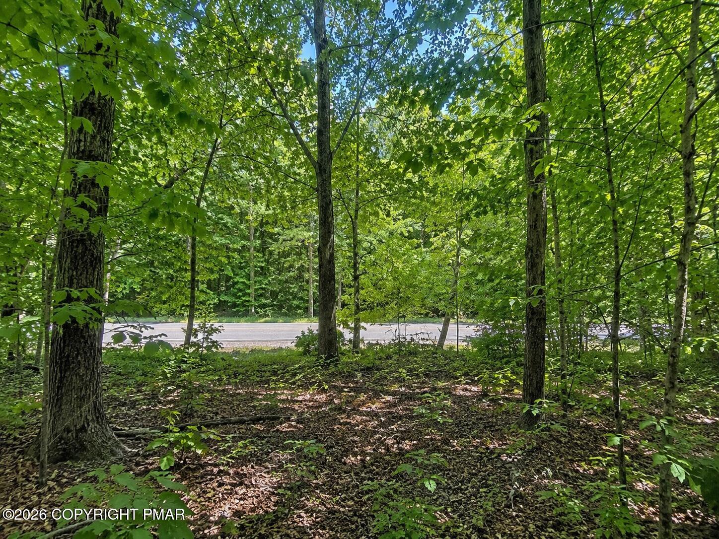 Dogwood Ln 925 Property Photo 2