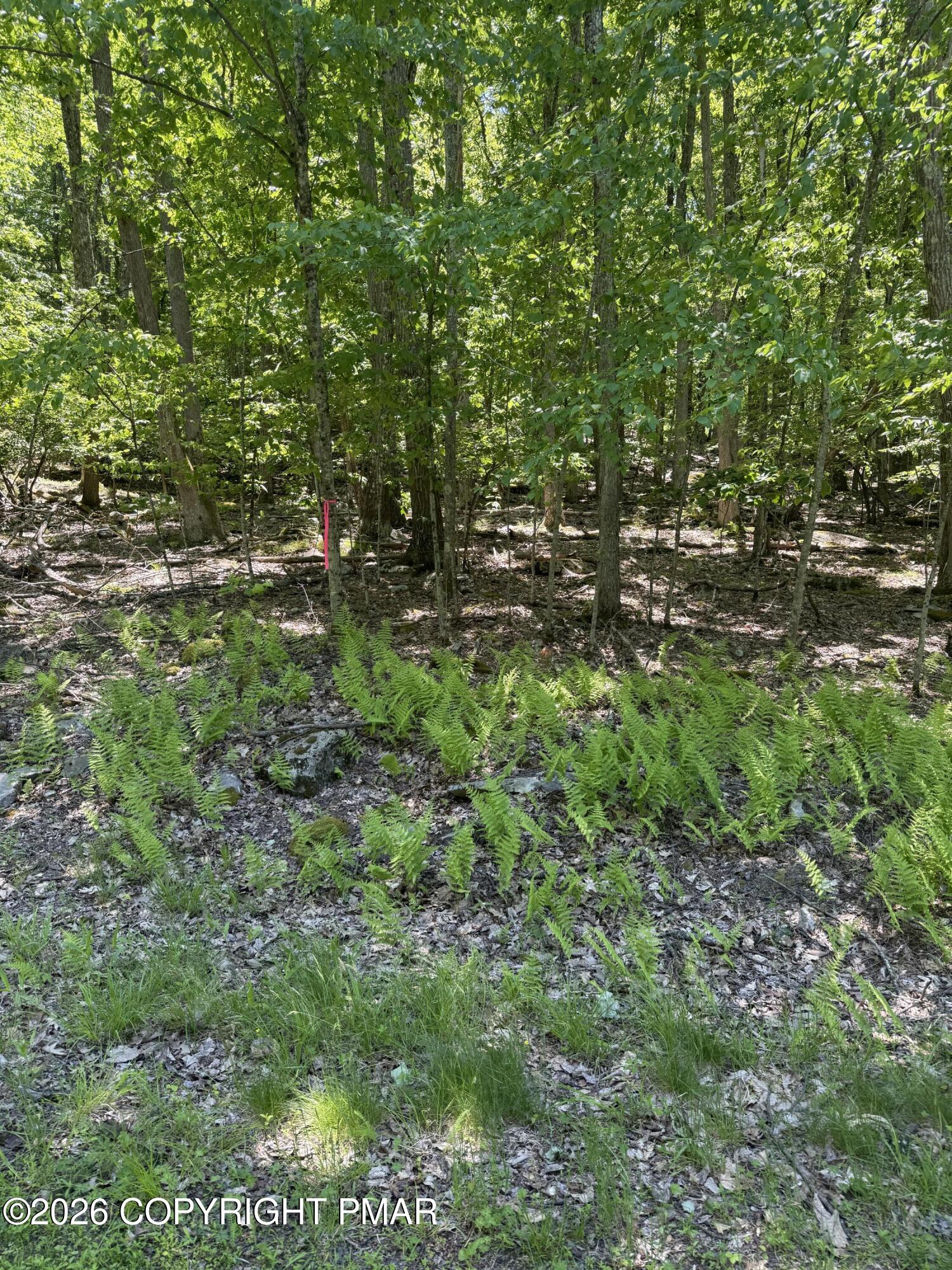 Paper Birch N Property Photo 1