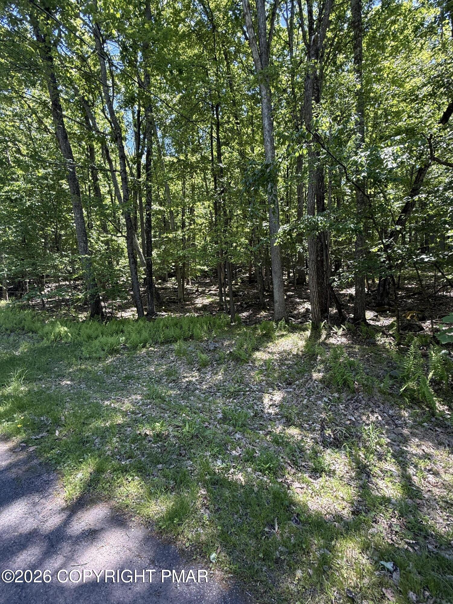 Paper Birch N Property Photo 3