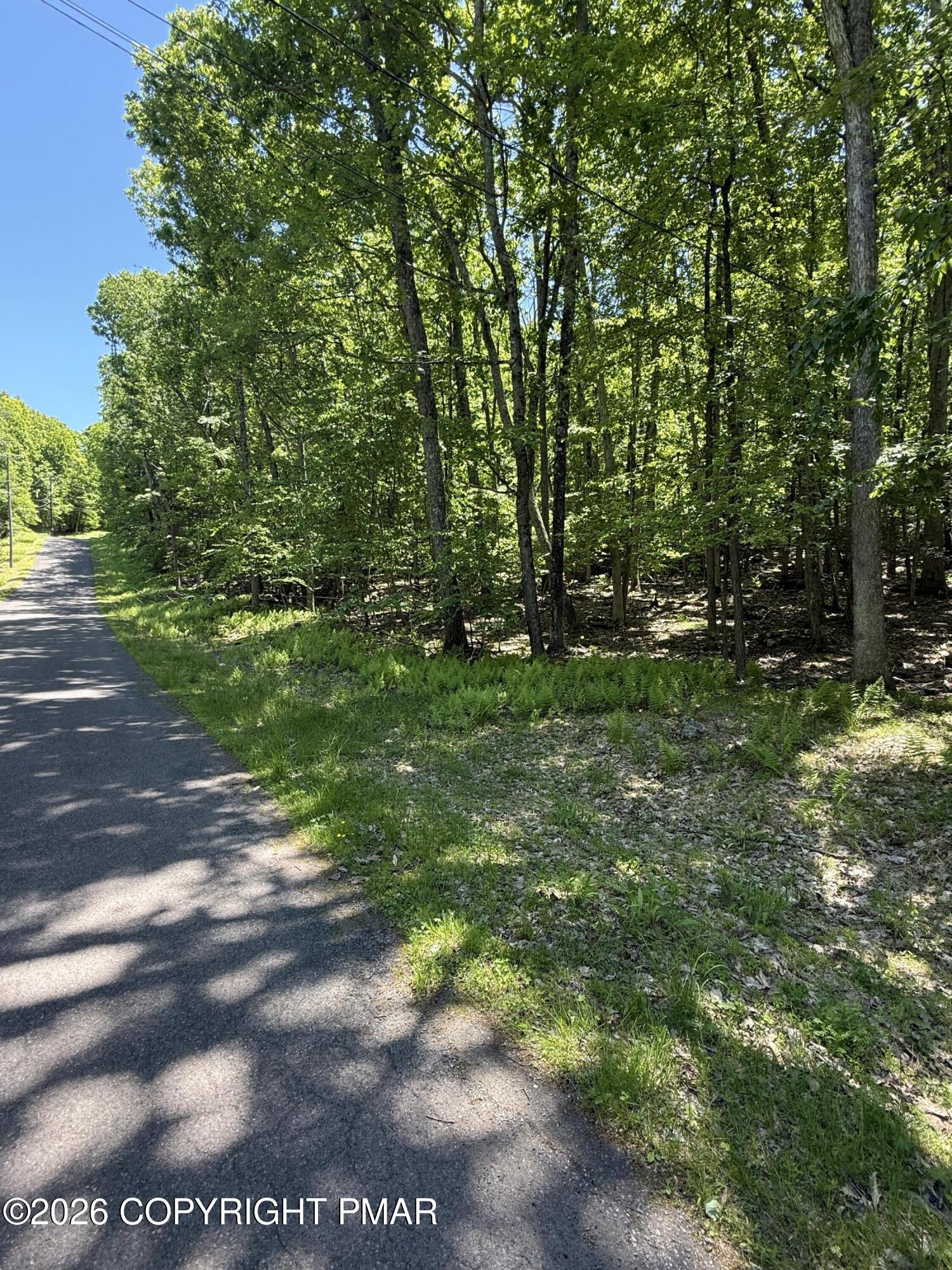 Paper Birch N Property Photo 4