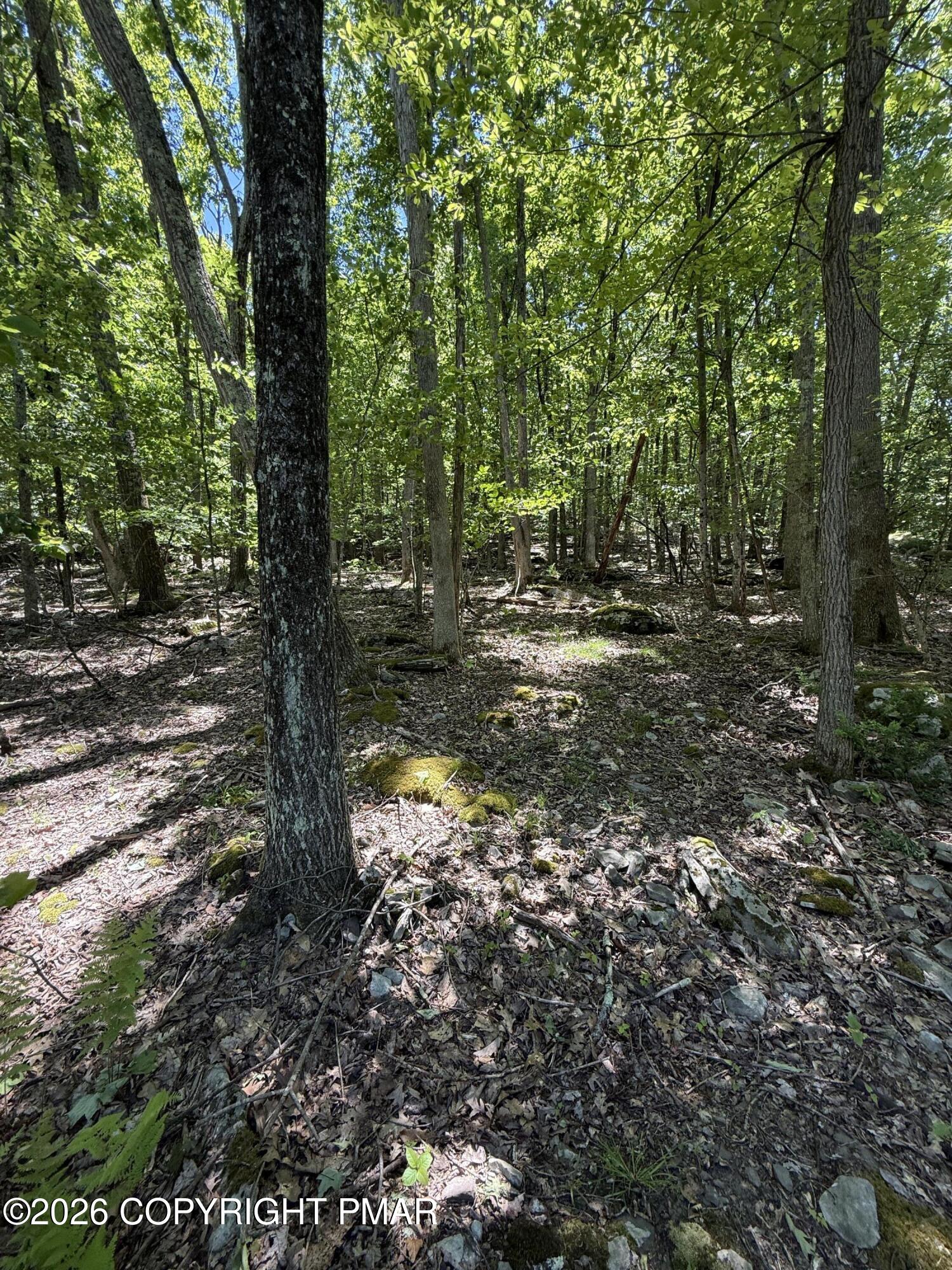 Paper Birch N Property Photo 5