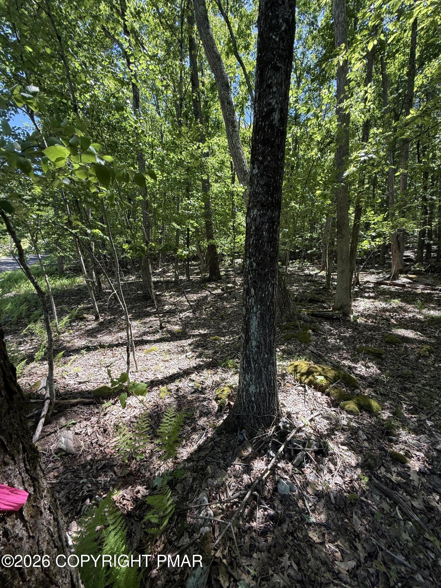 Paper Birch N Property Photo 6