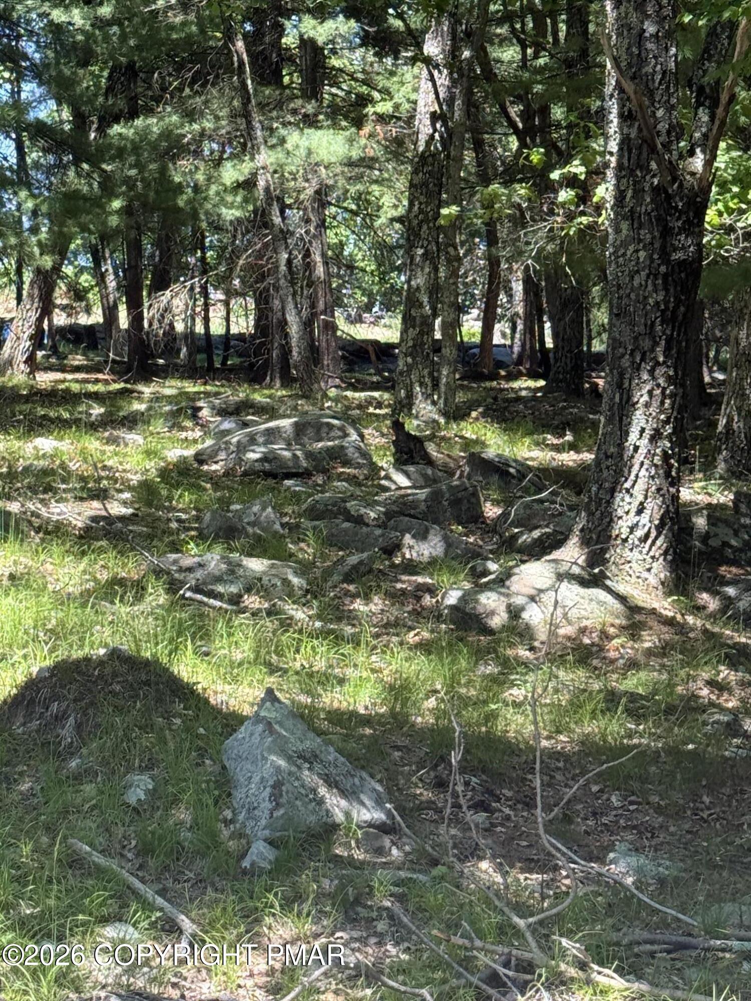 Song Mountain Drive Property Photo 1