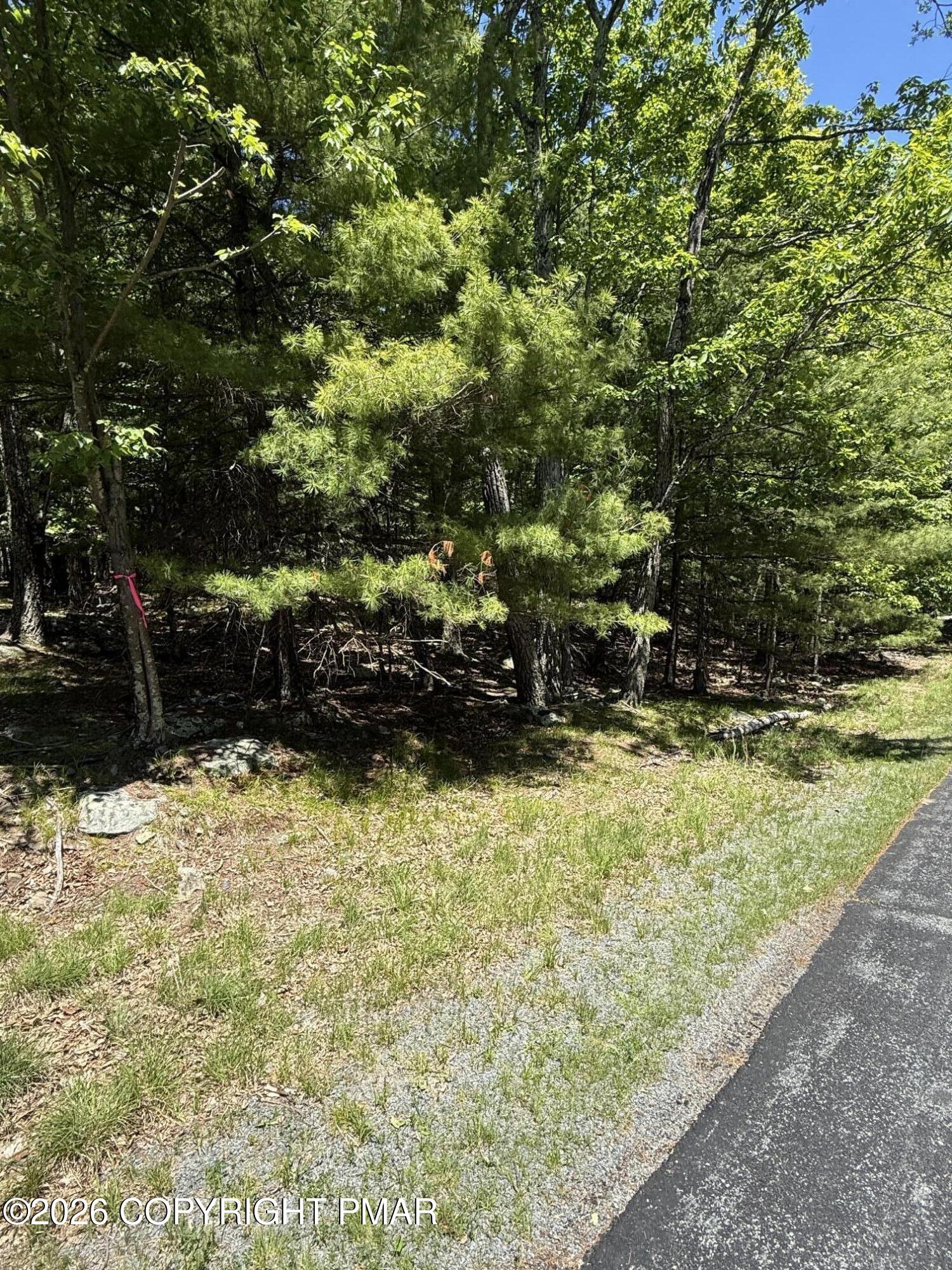 Song Mountain Drive Property Photo 3