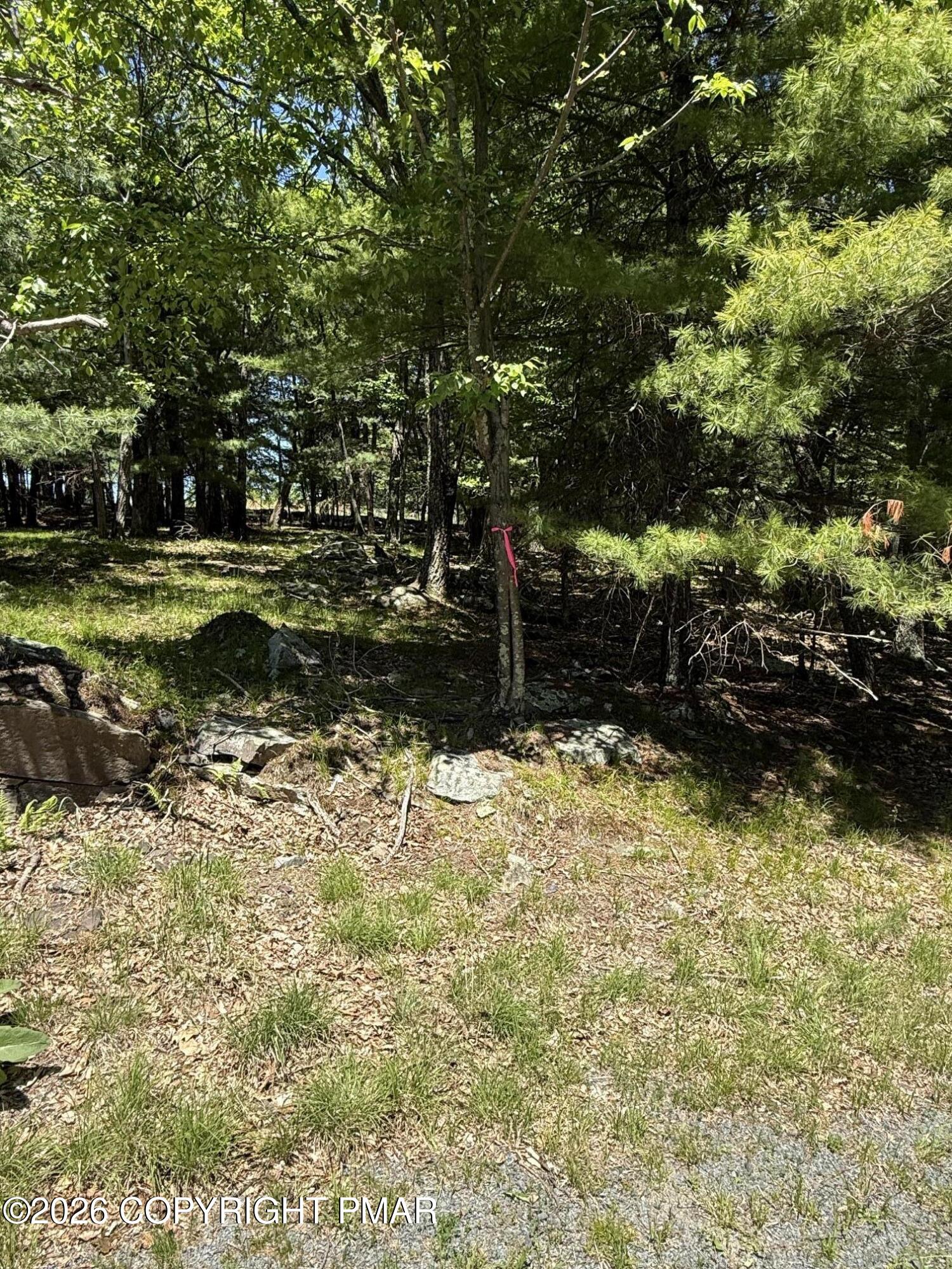Song Mountain Drive Property Photo 4