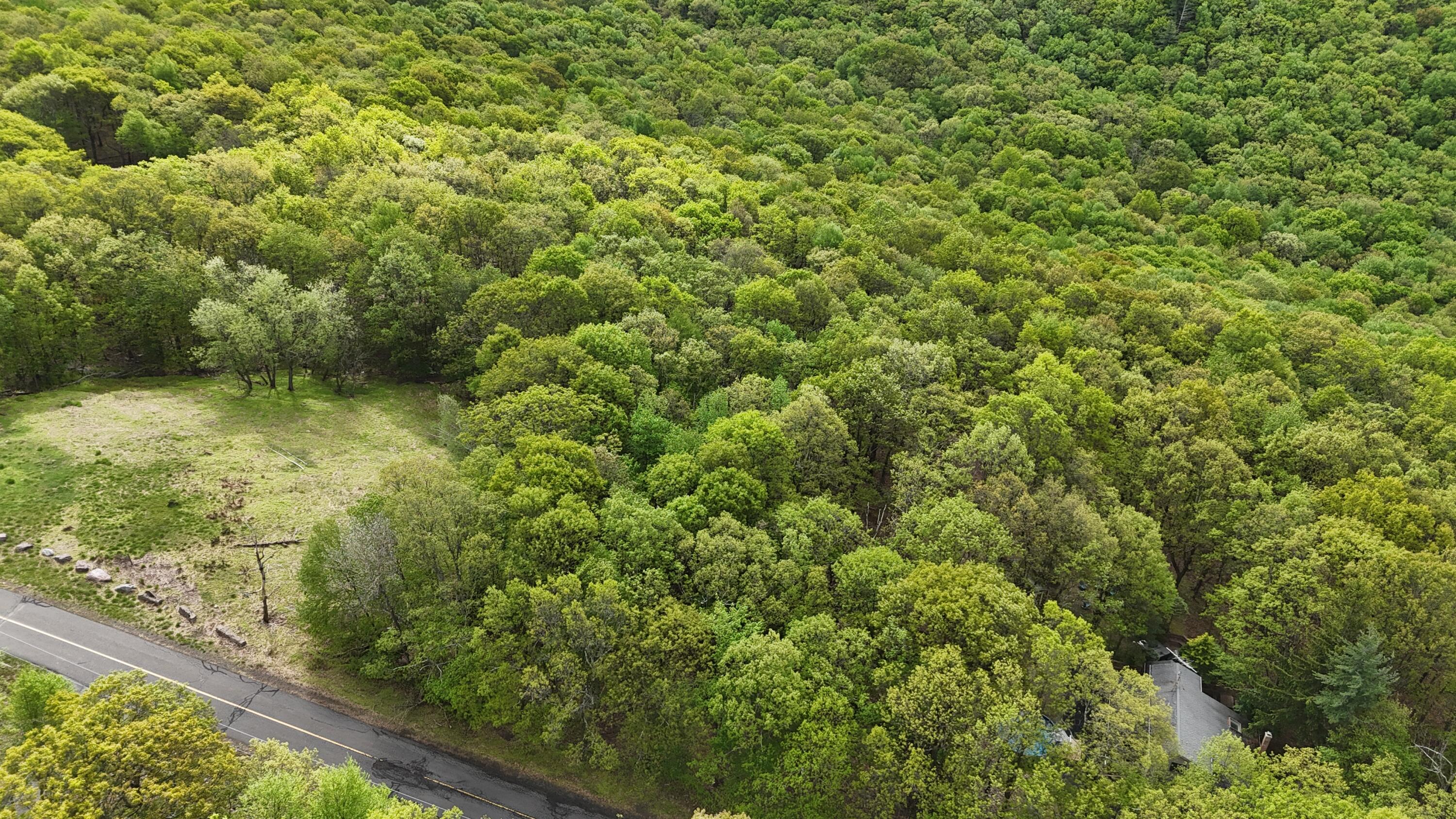 Arciel Drive Property Photo 9