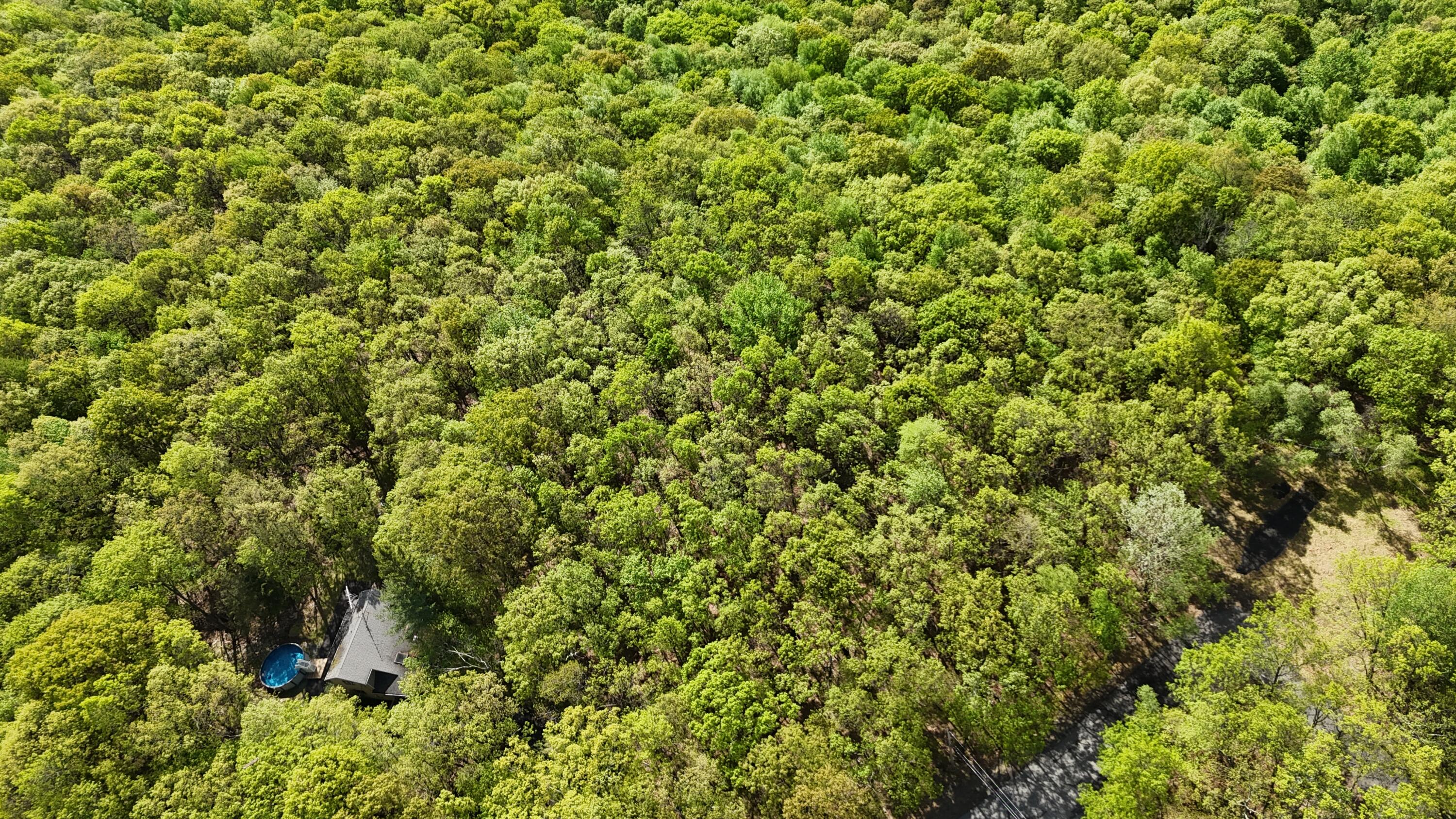 Arciel Drive Property Photo 19
