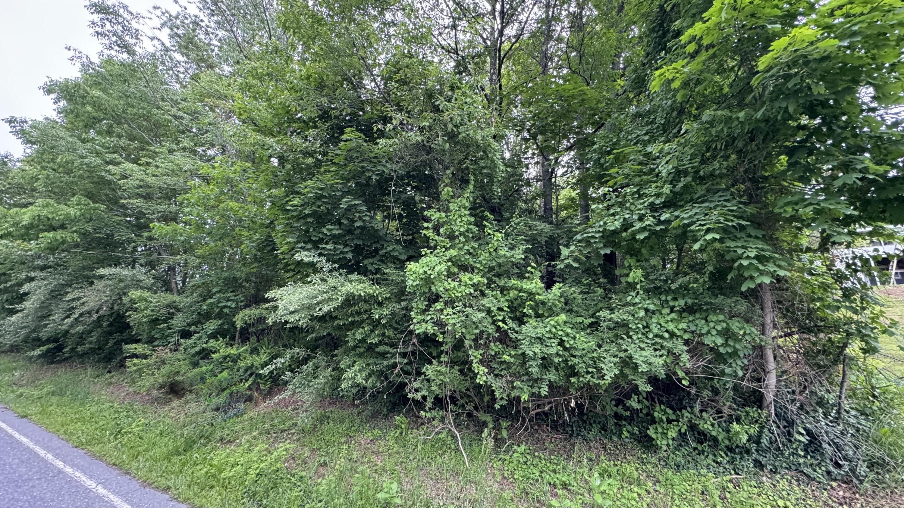 Ashley Ct H15 Court Property Photo 10