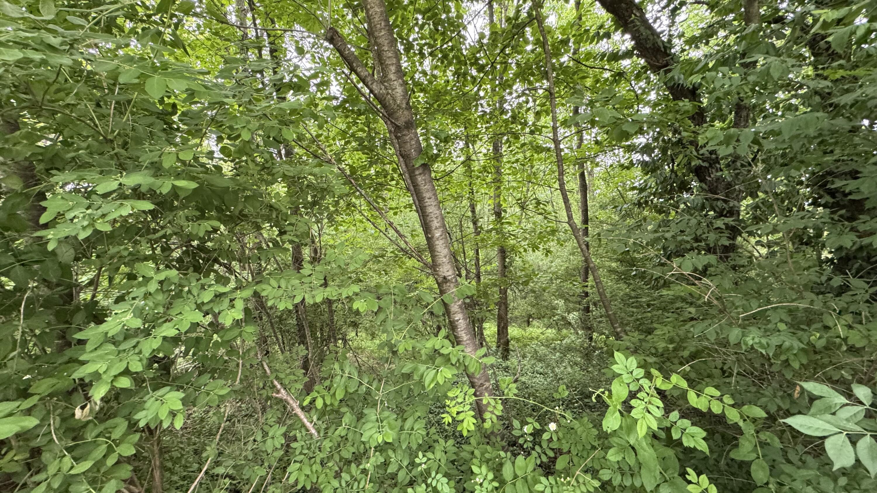 Ashley Ct H15 Court Property Photo 11