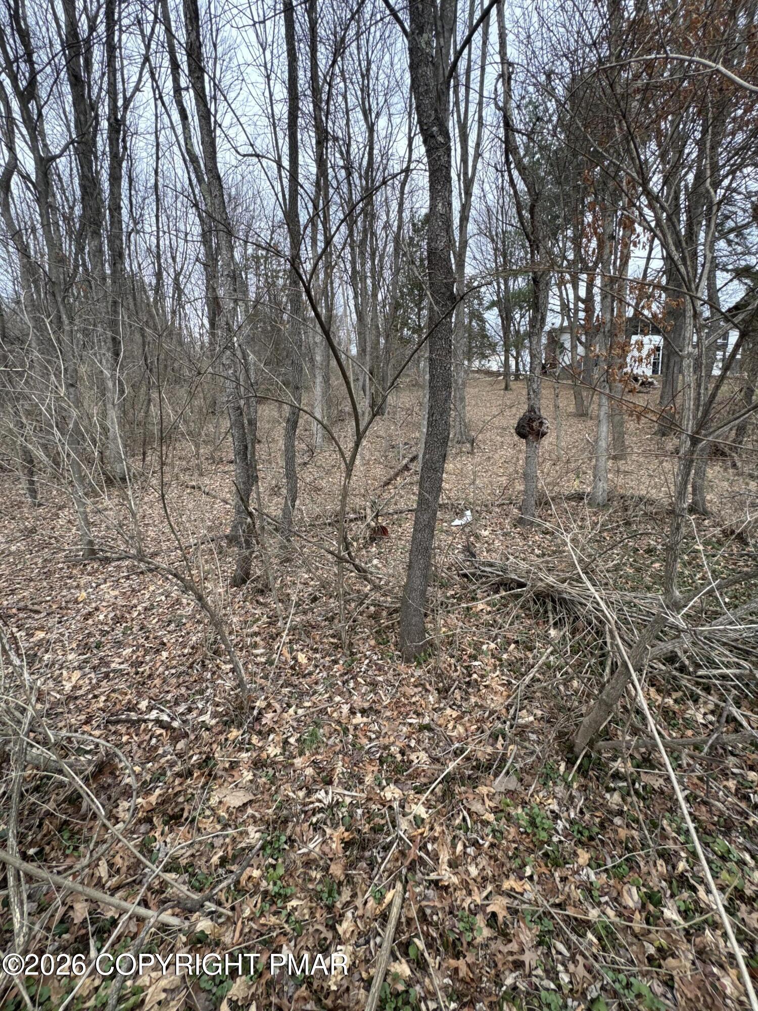 Ashley Ct H15 Court Property Photo 16