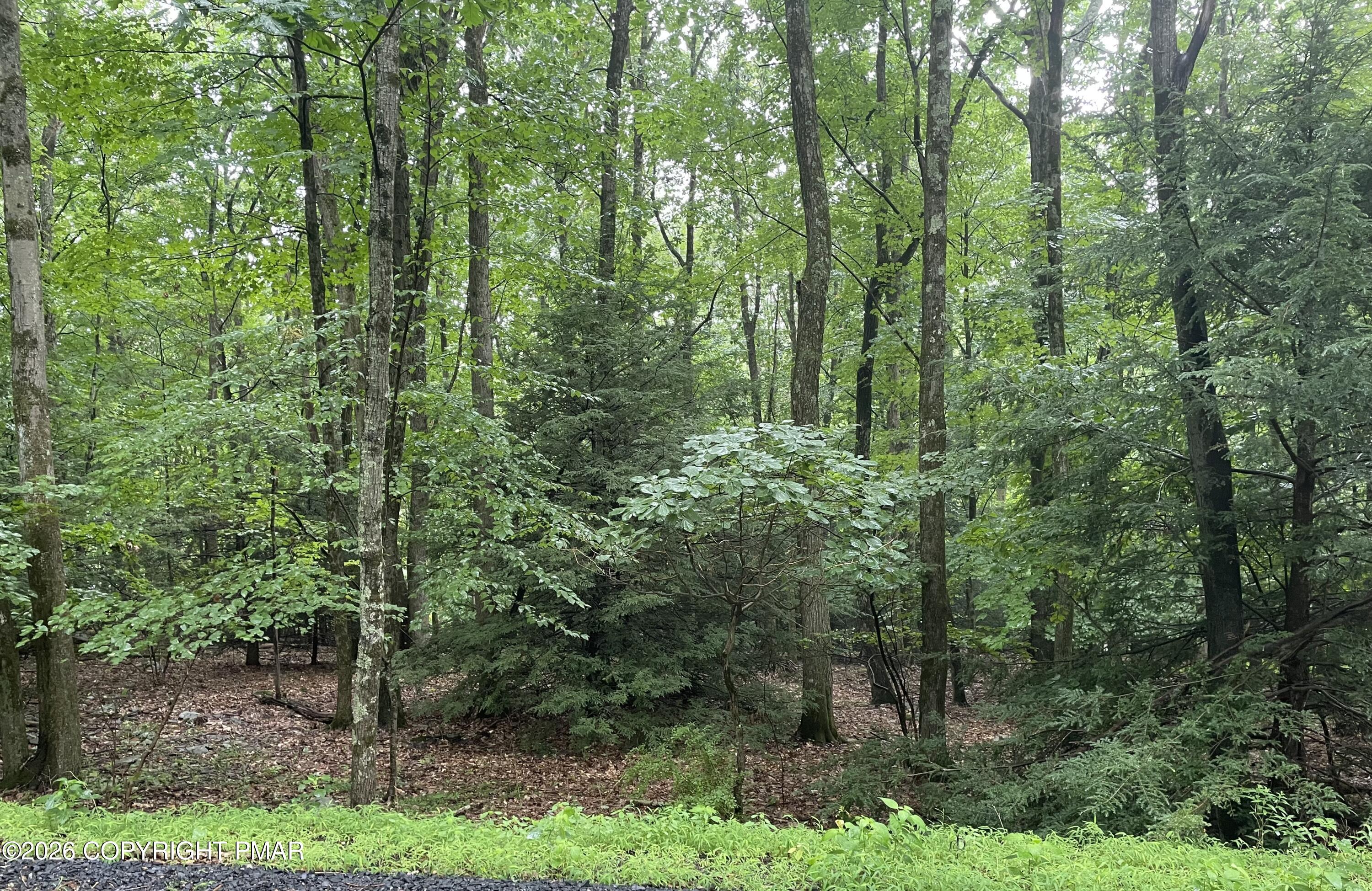707 Walnut Lane Property Photo 1
