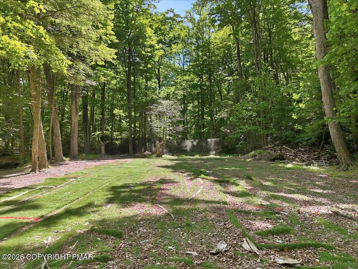 145 Camelback Road Property Photo 57